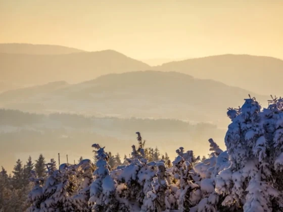 خلفيات بنات فخمة للموبايل بجودة عالية (مجموعة2)