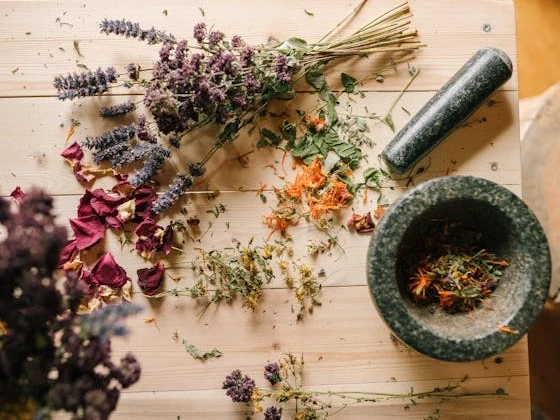 صيدلية التبريد: كيف تستخدم الأعشاب المنعشة لخفض حرارة جسمك في الصيف؟