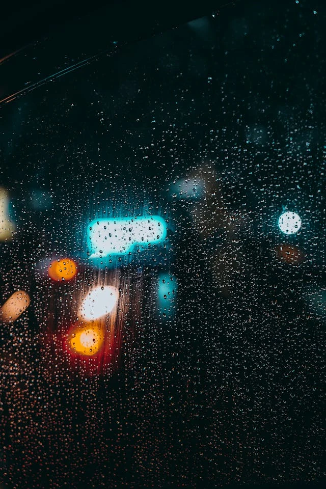 خلفيات مطر HD,خلفيات شتاء للموبايل 2026,خلفيات شاشة هادئة,صور مطر وشتاء فخمة,خلفيات جوال شتوية دافئة,خلفيات فخمة جدا 4k,خلفيات فخمة للبنات,خلفيات شتاء للبنات,خلفيات شتاء متحركة,خلفيات موبايل من فصل الشتاء