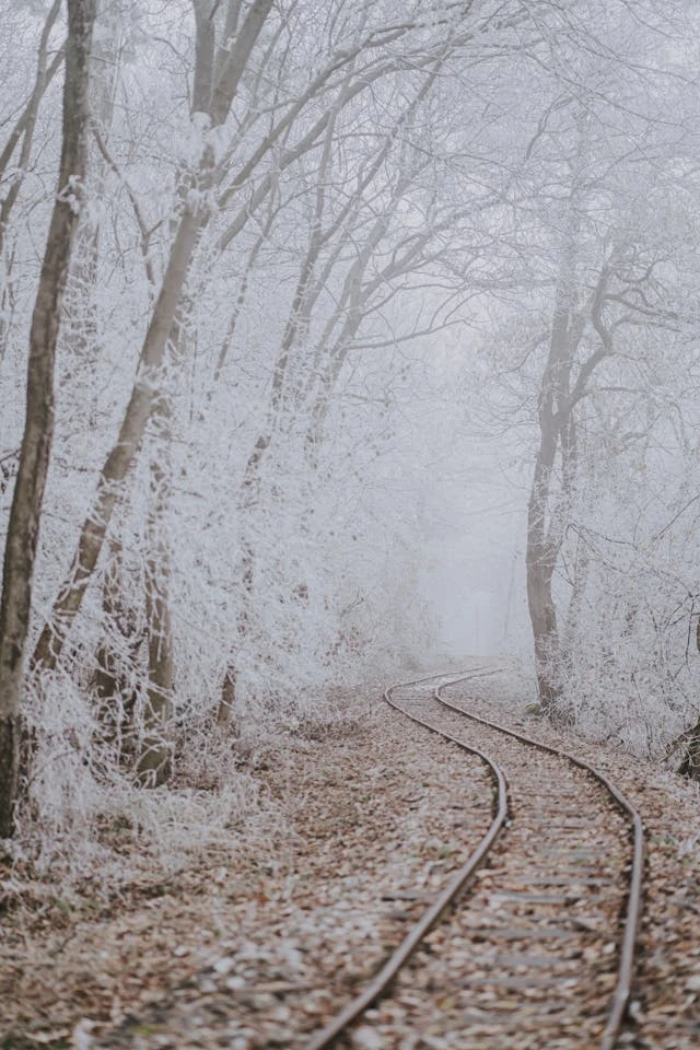 خلفيات مطر HD,خلفيات شتاء للموبايل 2026,خلفيات شاشة هادئة,صور مطر وشتاء فخمة,خلفيات جوال شتوية دافئة,خلفيات فخمة جدا 4k,خلفيات فخمة للبنات,خلفيات شتاء للبنات,خلفيات شتاء متحركة,خلفيات موبايل من فصل الشتاء