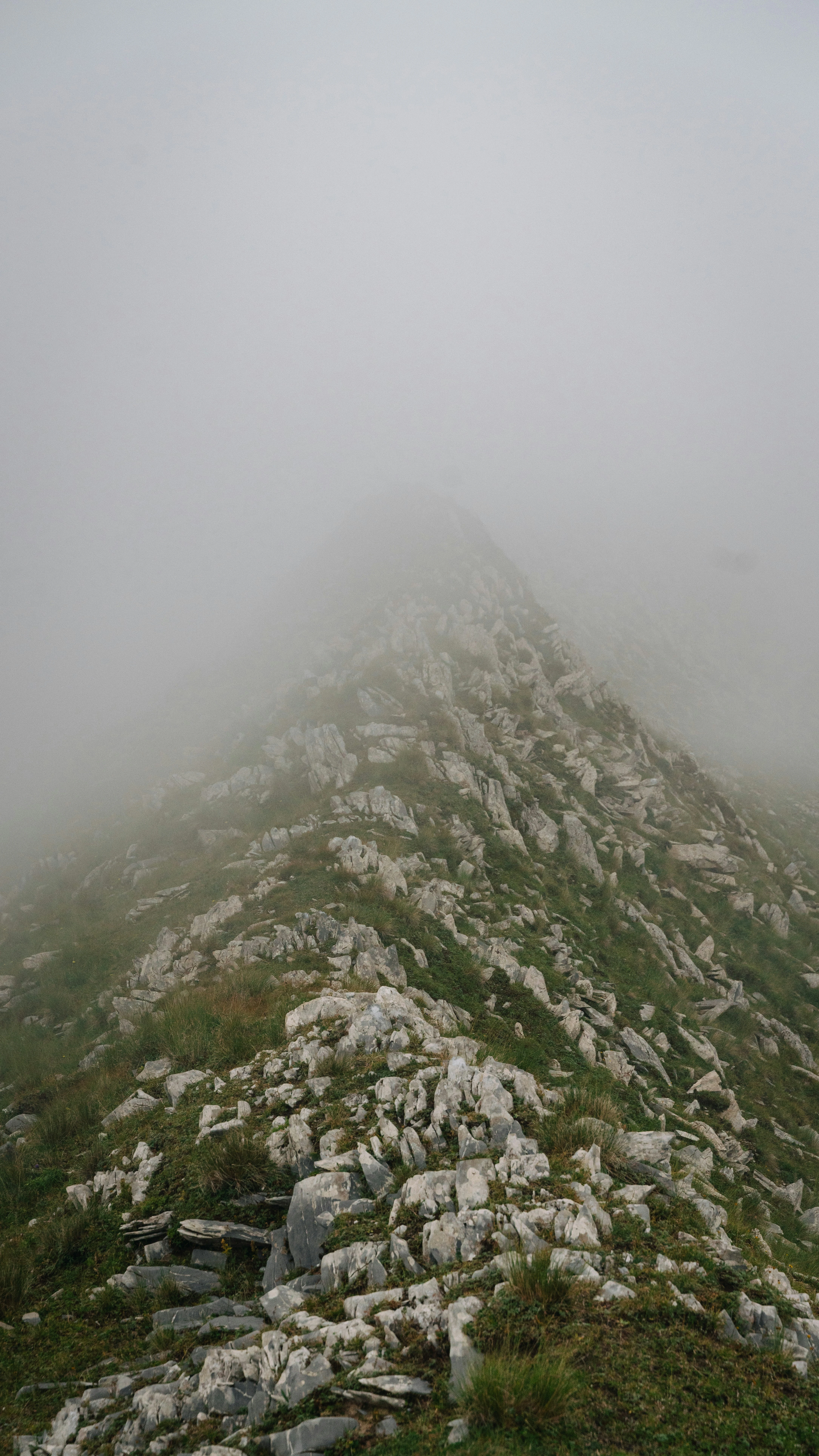 خلفيات موبايل 2026,خلفيات جوال 4K,خلفيات مناظر طبيعية للهاتف,خلفيات مريحة للعين,أجمل خلفيات 2026,خلفيات طبيعة هادئة,خلفيات موبايل فخمة,صور خلفيات عالية الدقة HD,خلفيات ايفون 2026,خلفيات اندرويد حديثة, خلفيات طبيعة مريحة للأعصاب 2026, تحميل خلفيات موبايل 4K مجانية, أفضل صور خلفيات للهاتف تريح العين, خلفيات جوال مناظر طبيعية خلابة, تنزيل خلفيات شاشة موبايل حديثة 2026