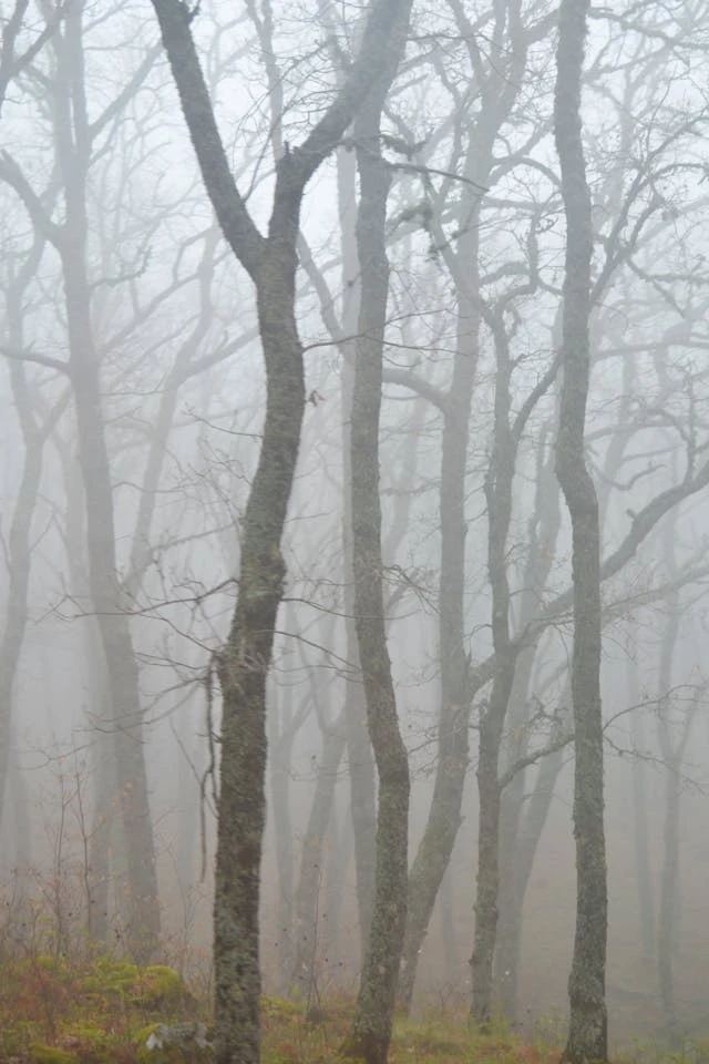 خلفيات مطر HD,خلفيات شتاء للموبايل 2026,خلفيات شاشة هادئة,صور مطر وشتاء فخمة,خلفيات جوال شتوية دافئة,خلفيات فخمة جدا 4k,خلفيات فخمة للبنات,خلفيات شتاء للبنات,خلفيات شتاء متحركة,خلفيات موبايل من فصل الشتاء