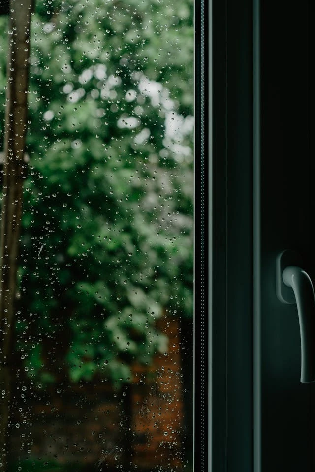 خلفيات مطر HD,خلفيات شتاء للموبايل 2026,خلفيات شاشة هادئة,صور مطر وشتاء فخمة,خلفيات جوال شتوية دافئة,خلفيات فخمة جدا 4k,خلفيات فخمة للبنات,خلفيات شتاء للبنات,خلفيات شتاء متحركة,خلفيات موبايل من فصل الشتاء