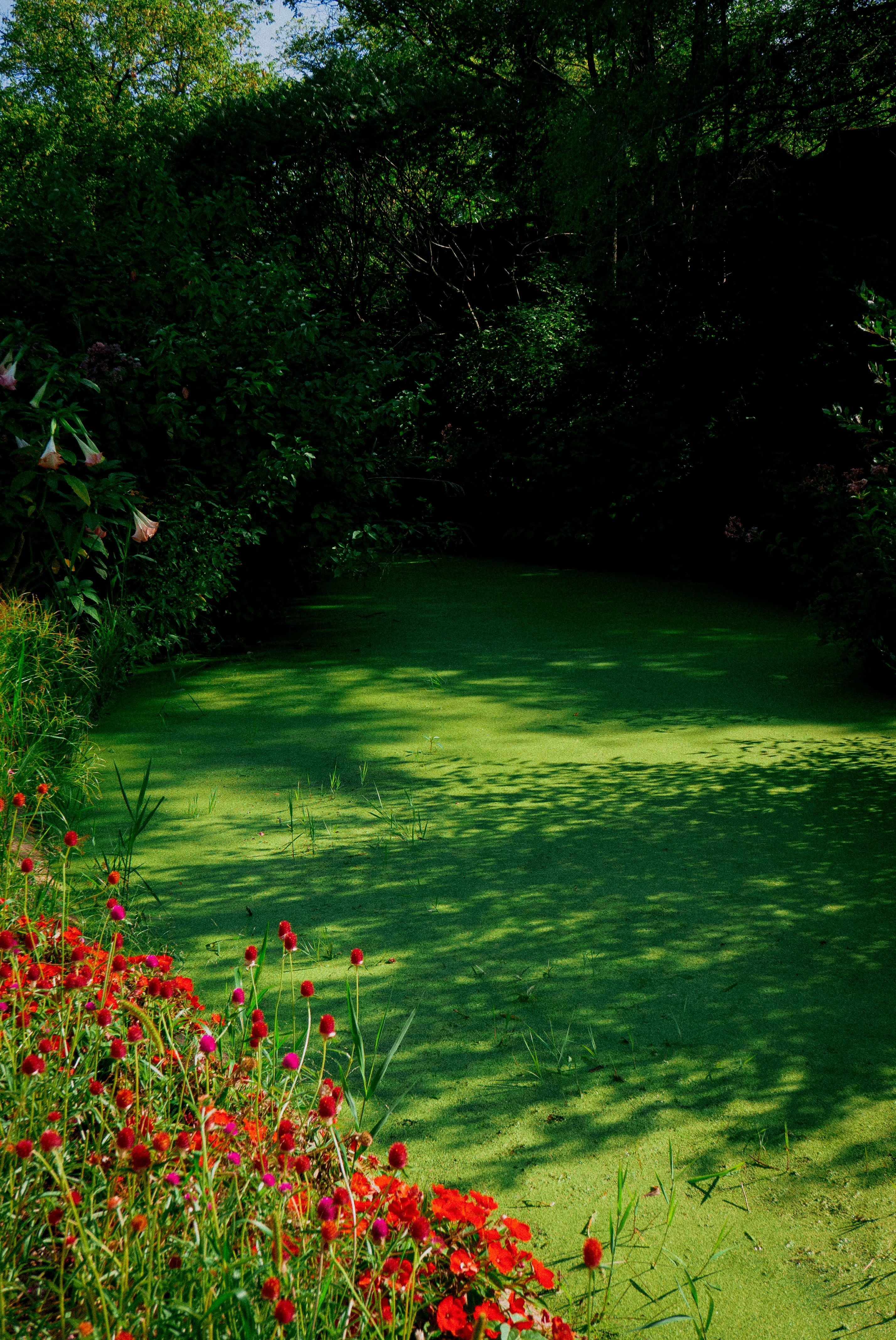 خلفيات موبايل 2026,خلفيات جوال 4K,خلفيات مناظر طبيعية للهاتف,خلفيات مريحة للعين,أجمل خلفيات 2026,خلفيات طبيعة هادئة,خلفيات موبايل فخمة,صور خلفيات عالية الدقة HD,خلفيات ايفون 2026,خلفيات اندرويد حديثة, خلفيات طبيعة مريحة للأعصاب 2026, تحميل خلفيات موبايل 4K مجانية, أفضل صور خلفيات للهاتف تريح العين, خلفيات جوال مناظر طبيعية خلابة, تنزيل خلفيات شاشة موبايل حديثة 2026