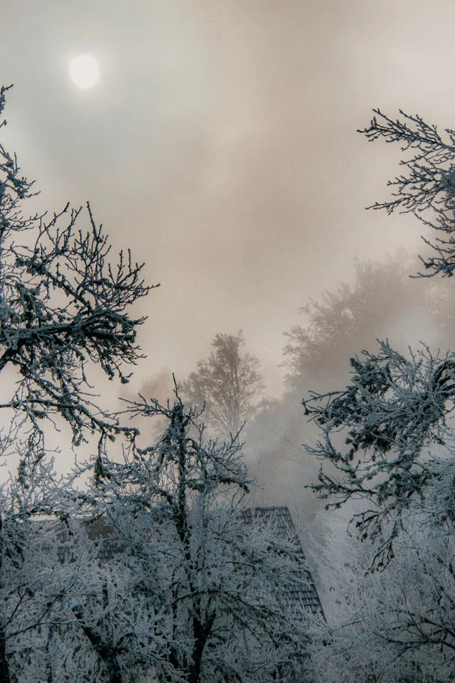 خلفيات مطر HD,خلفيات شتاء للموبايل 2026,خلفيات شاشة هادئة,صور مطر وشتاء فخمة,خلفيات جوال شتوية دافئة,خلفيات فخمة جدا 4k,خلفيات فخمة للبنات,خلفيات شتاء للبنات,خلفيات شتاء متحركة,خلفيات موبايل من فصل الشتاء