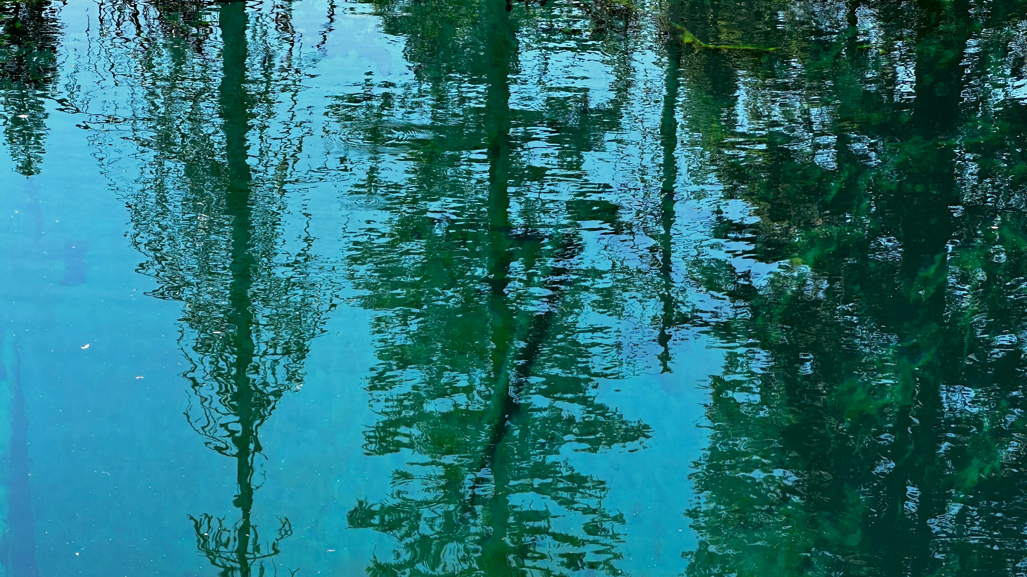 خلفيات موبايل 2026,خلفيات جوال 4K,خلفيات مناظر طبيعية للهاتف,خلفيات مريحة للعين,أجمل خلفيات 2026,خلفيات طبيعة هادئة,خلفيات موبايل فخمة,صور خلفيات عالية الدقة HD,خلفيات ايفون 2026,خلفيات اندرويد حديثة, خلفيات طبيعة مريحة للأعصاب 2026, تحميل خلفيات موبايل 4K مجانية, أفضل صور خلفيات للهاتف تريح العين, خلفيات جوال مناظر طبيعية خلابة, تنزيل خلفيات شاشة موبايل حديثة 2026