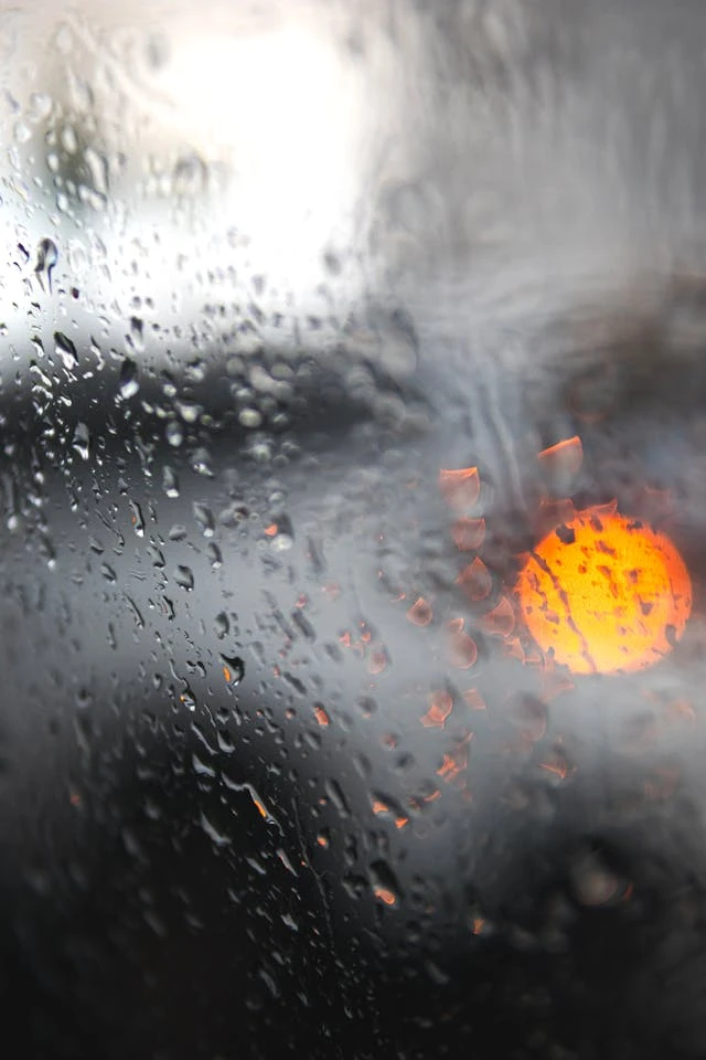 خلفيات مطر HD,خلفيات شتاء للموبايل 2026,خلفيات شاشة هادئة,صور مطر وشتاء فخمة,خلفيات جوال شتوية دافئة,خلفيات فخمة جدا 4k,خلفيات فخمة للبنات,خلفيات شتاء للبنات,خلفيات شتاء متحركة,خلفيات موبايل من فصل الشتاء