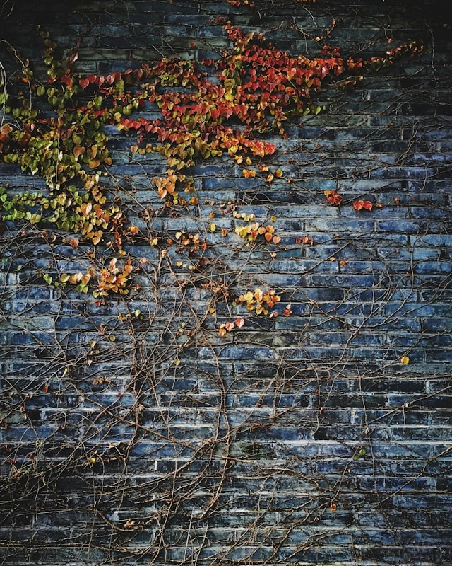 خلفيات بنات فخمة,خلفيات بنات لِلْمُوبَايِل,خلفيات بنات كيوت,خلفيات بنات كيوت حقيقية,خلفيات بنات فخمة كيوت,خلفيات بنات حلوة,خلفيات للبنات تجنن,خلفيات كيوت للجوال,خلفيات بنات كبار,خلفيات هاتف للبنات المراهقات خلفيات رقيقة للبنات