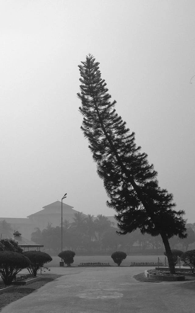 خلفيات مطر HD,خلفيات شتاء للموبايل 2026,خلفيات شاشة هادئة,صور مطر وشتاء فخمة,خلفيات جوال شتوية دافئة,خلفيات فخمة جدا 4k,خلفيات فخمة للبنات,خلفيات شتاء للبنات,خلفيات شتاء متحركة,خلفيات موبايل من فصل الشتاء