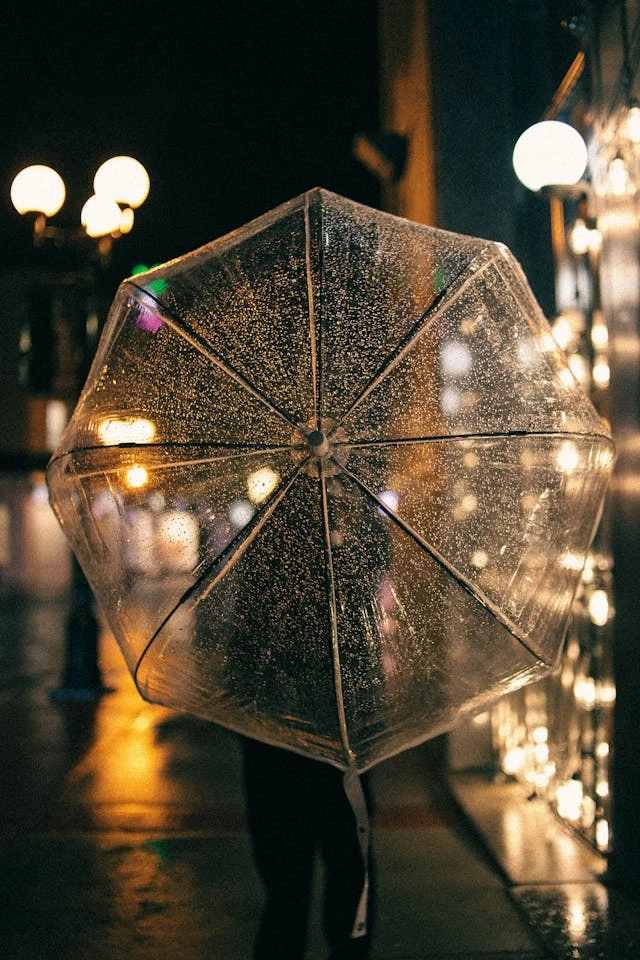 خلفيات مطر HD,خلفيات شتاء للموبايل 2026,خلفيات شاشة هادئة,صور مطر وشتاء فخمة,خلفيات جوال شتوية دافئة,خلفيات فخمة جدا 4k,خلفيات فخمة للبنات,خلفيات شتاء للبنات,خلفيات شتاء متحركة,خلفيات موبايل من فصل الشتاء