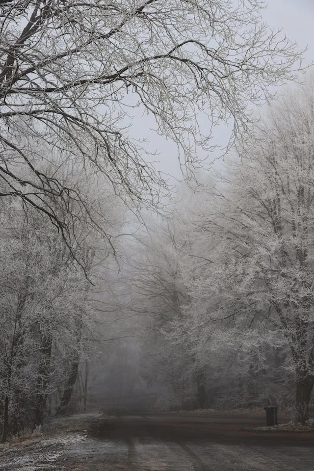 خلفيات مطر HD,خلفيات شتاء للموبايل 2026,خلفيات شاشة هادئة,صور مطر وشتاء فخمة,خلفيات جوال شتوية دافئة,خلفيات فخمة جدا 4k,خلفيات فخمة للبنات,خلفيات شتاء للبنات,خلفيات شتاء متحركة,خلفيات موبايل من فصل الشتاء