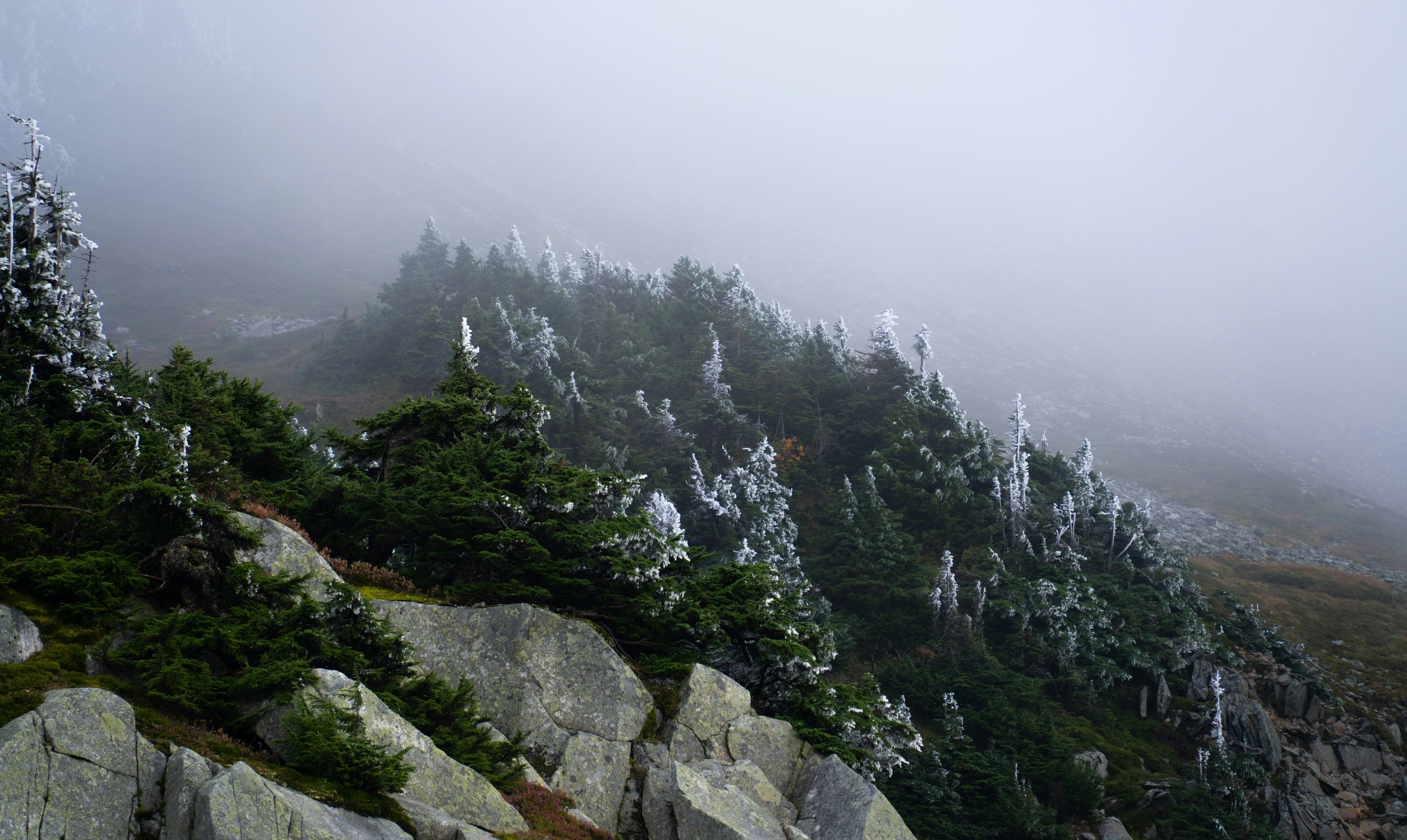 خلفيات موبايل 2026,خلفيات جوال 4K,خلفيات مناظر طبيعية للهاتف,خلفيات مريحة للعين,أجمل خلفيات 2026,خلفيات طبيعة هادئة,خلفيات موبايل فخمة,صور خلفيات عالية الدقة HD,خلفيات ايفون 2026,خلفيات اندرويد حديثة, خلفيات طبيعة مريحة للأعصاب 2026, تحميل خلفيات موبايل 4K مجانية, أفضل صور خلفيات للهاتف تريح العين, خلفيات جوال مناظر طبيعية خلابة, تنزيل خلفيات شاشة موبايل حديثة 2026