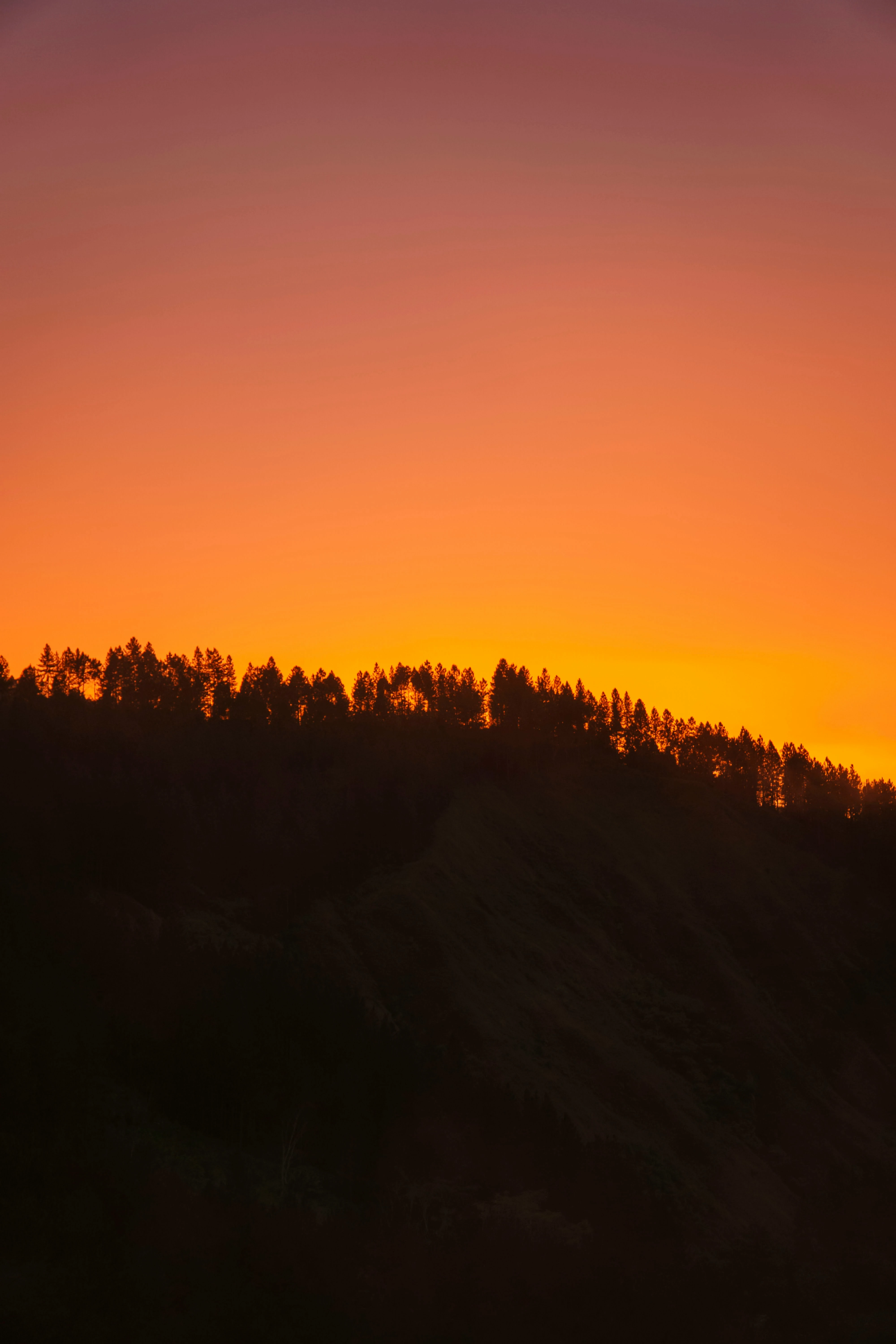 خلفيات موبايل 2026,خلفيات جوال 4K,خلفيات مناظر طبيعية للهاتف,خلفيات مريحة للعين,أجمل خلفيات 2026,خلفيات طبيعة هادئة,خلفيات موبايل فخمة,صور خلفيات عالية الدقة HD,خلفيات ايفون 2026,خلفيات اندرويد حديثة, خلفيات طبيعة مريحة للأعصاب 2026, تحميل خلفيات موبايل 4K مجانية, أفضل صور خلفيات للهاتف تريح العين, خلفيات جوال مناظر طبيعية خلابة, تنزيل خلفيات شاشة موبايل حديثة 2026