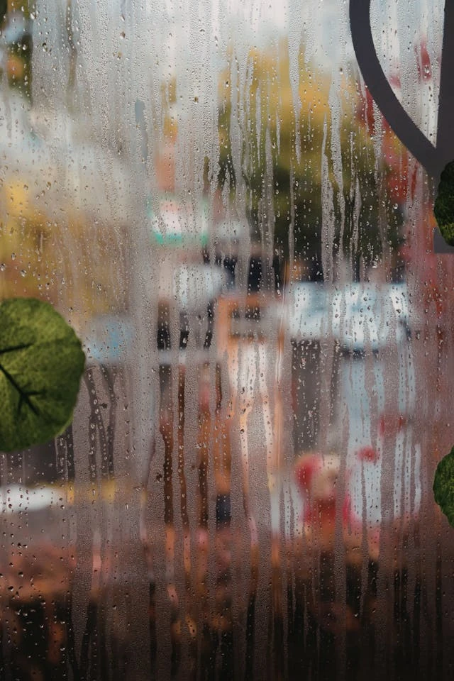 خلفيات مطر HD,خلفيات شتاء للموبايل 2026,خلفيات شاشة هادئة,صور مطر وشتاء فخمة,خلفيات جوال شتوية دافئة,خلفيات فخمة جدا 4k,خلفيات فخمة للبنات,خلفيات شتاء للبنات,خلفيات شتاء متحركة,خلفيات موبايل من فصل الشتاء