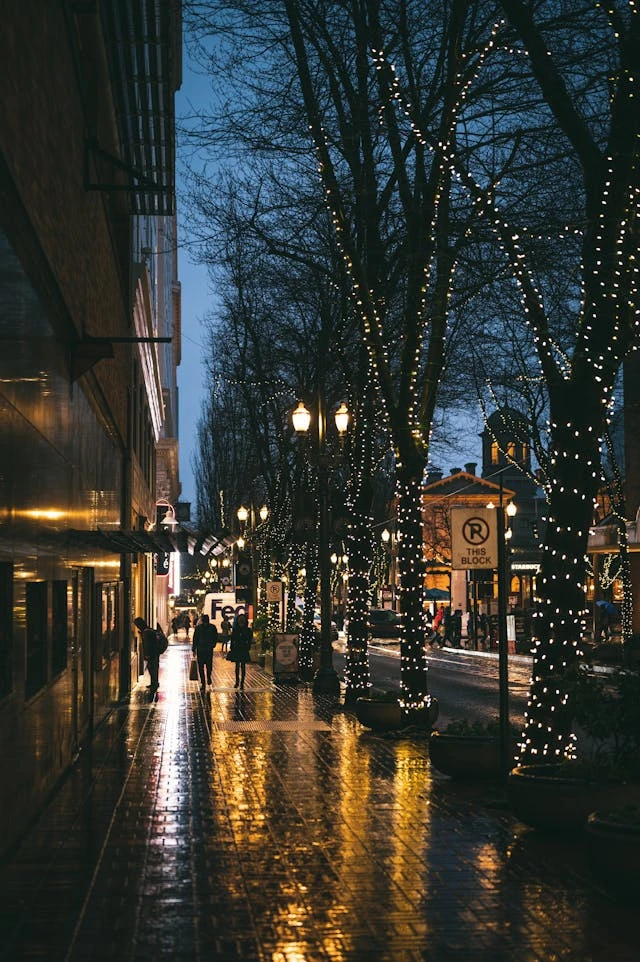 خلفيات مطر HD,خلفيات شتاء للموبايل 2026,خلفيات شاشة هادئة,صور مطر وشتاء فخمة,خلفيات جوال شتوية دافئة,خلفيات فخمة جدا 4k,خلفيات فخمة للبنات,خلفيات شتاء للبنات,خلفيات شتاء متحركة,خلفيات موبايل من فصل الشتاء