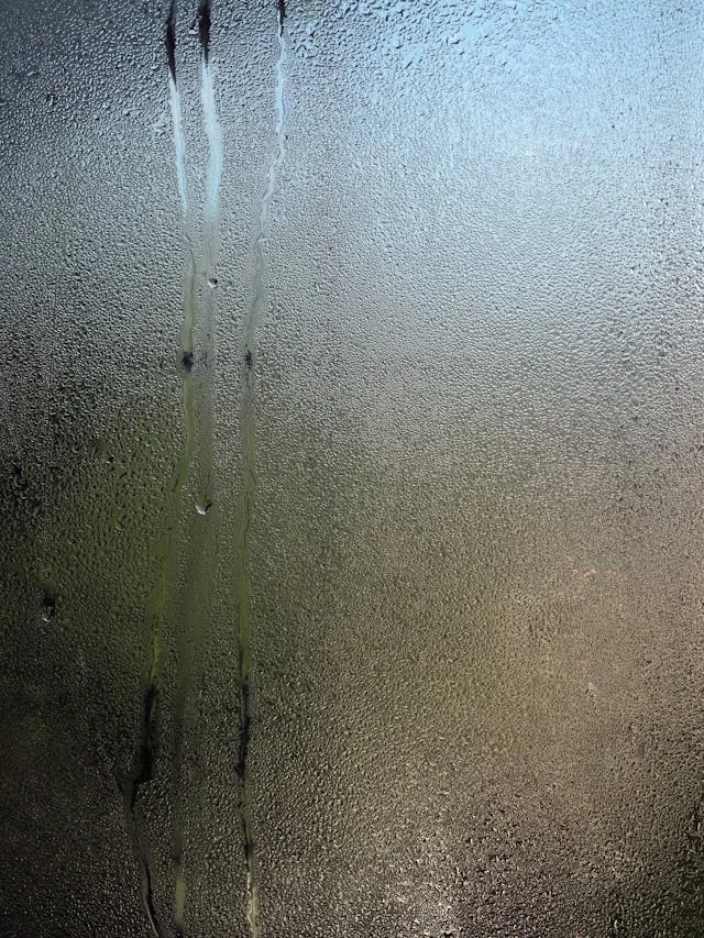 خلفيات مطر HD,خلفيات شتاء للموبايل 2026,خلفيات شاشة هادئة,صور مطر وشتاء فخمة,خلفيات جوال شتوية دافئة,خلفيات فخمة جدا 4k,خلفيات فخمة للبنات,خلفيات شتاء للبنات,خلفيات شتاء متحركة,خلفيات موبايل من فصل الشتاء