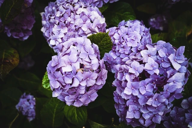 خلفيات بنات فخمة,خلفيات بنات لِلْمُوبَايِل,خلفيات بنات كيوت,خلفيات بنات كيوت حقيقية,خلفيات بنات فخمة كيوت,خلفيات بنات حلوة,خلفيات للبنات تجنن,خلفيات كيوت للجوال,خلفيات بنات كبار,خلفيات هاتف للبنات المراهقات خلفيات رقيقة للبنات