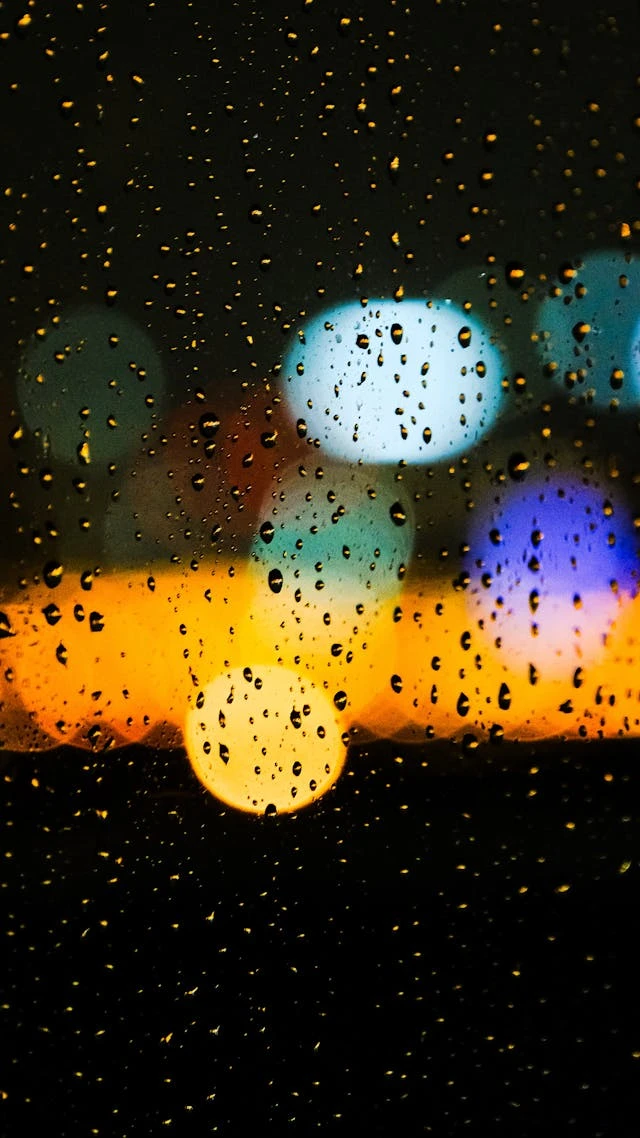 خلفيات مطر HD,خلفيات شتاء للموبايل 2026,خلفيات شاشة هادئة,صور مطر وشتاء فخمة,خلفيات جوال شتوية دافئة,خلفيات فخمة جدا 4k,خلفيات فخمة للبنات,خلفيات شتاء للبنات,خلفيات شتاء متحركة,خلفيات موبايل من فصل الشتاء