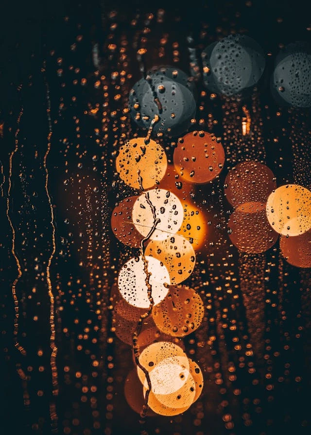 خلفيات مطر HD,خلفيات شتاء للموبايل 2026,خلفيات شاشة هادئة,صور مطر وشتاء فخمة,خلفيات جوال شتوية دافئة,خلفيات فخمة جدا 4k,خلفيات فخمة للبنات,خلفيات شتاء للبنات,خلفيات شتاء متحركة,خلفيات موبايل من فصل الشتاء