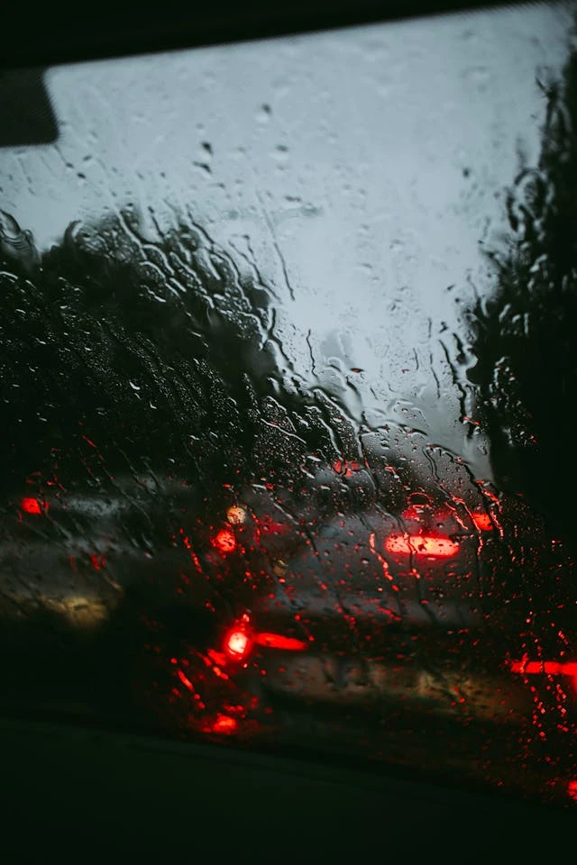 خلفيات مطر HD,خلفيات شتاء للموبايل 2026,خلفيات شاشة هادئة,صور مطر وشتاء فخمة,خلفيات جوال شتوية دافئة,خلفيات فخمة جدا 4k,خلفيات فخمة للبنات,خلفيات شتاء للبنات,خلفيات شتاء متحركة,خلفيات موبايل من فصل الشتاء