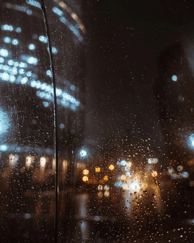 خلفيات مطر HD,خلفيات شتاء للموبايل 2026,خلفيات شاشة هادئة,صور مطر وشتاء فخمة,خلفيات جوال شتوية دافئة,خلفيات فخمة جدا 4k,خلفيات فخمة للبنات,خلفيات شتاء للبنات,خلفيات شتاء متحركة,خلفيات موبايل من فصل الشتاء