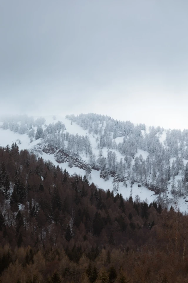 خلفيات بنات فخمة,خلفيات بنات لِلْمُوبَايِل,خلفيات بنات كيوت,خلفيات بنات كيوت حقيقية,خلفيات بنات فخمة كيوت,خلفيات بنات حلوة,خلفيات للبنات تجنن,خلفيات كيوت للجوال,خلفيات بنات كبار,خلفيات هاتف للبنات المراهقات خلفيات رقيقة للبنات