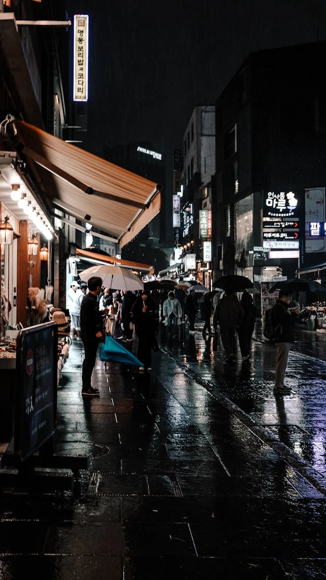 خلفيات مطر HD,خلفيات شتاء للموبايل 2026,خلفيات شاشة هادئة,صور مطر وشتاء فخمة,خلفيات جوال شتوية دافئة,خلفيات فخمة جدا 4k,خلفيات فخمة للبنات,خلفيات شتاء للبنات,خلفيات شتاء متحركة,خلفيات موبايل من فصل الشتاء