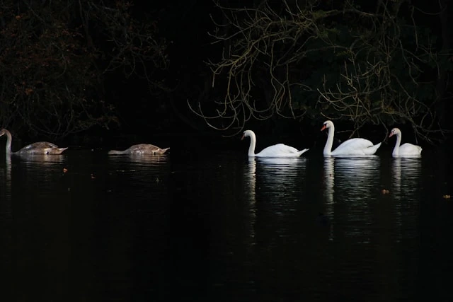 خلفيات بنات فخمة,خلفيات بنات لِلْمُوبَايِل,خلفيات بنات كيوت,خلفيات بنات كيوت حقيقية,خلفيات بنات فخمة كيوت,خلفيات بنات حلوة,خلفيات للبنات تجنن,خلفيات كيوت للجوال,خلفيات بنات كبار,خلفيات هاتف للبنات المراهقات خلفيات رقيقة للبنات