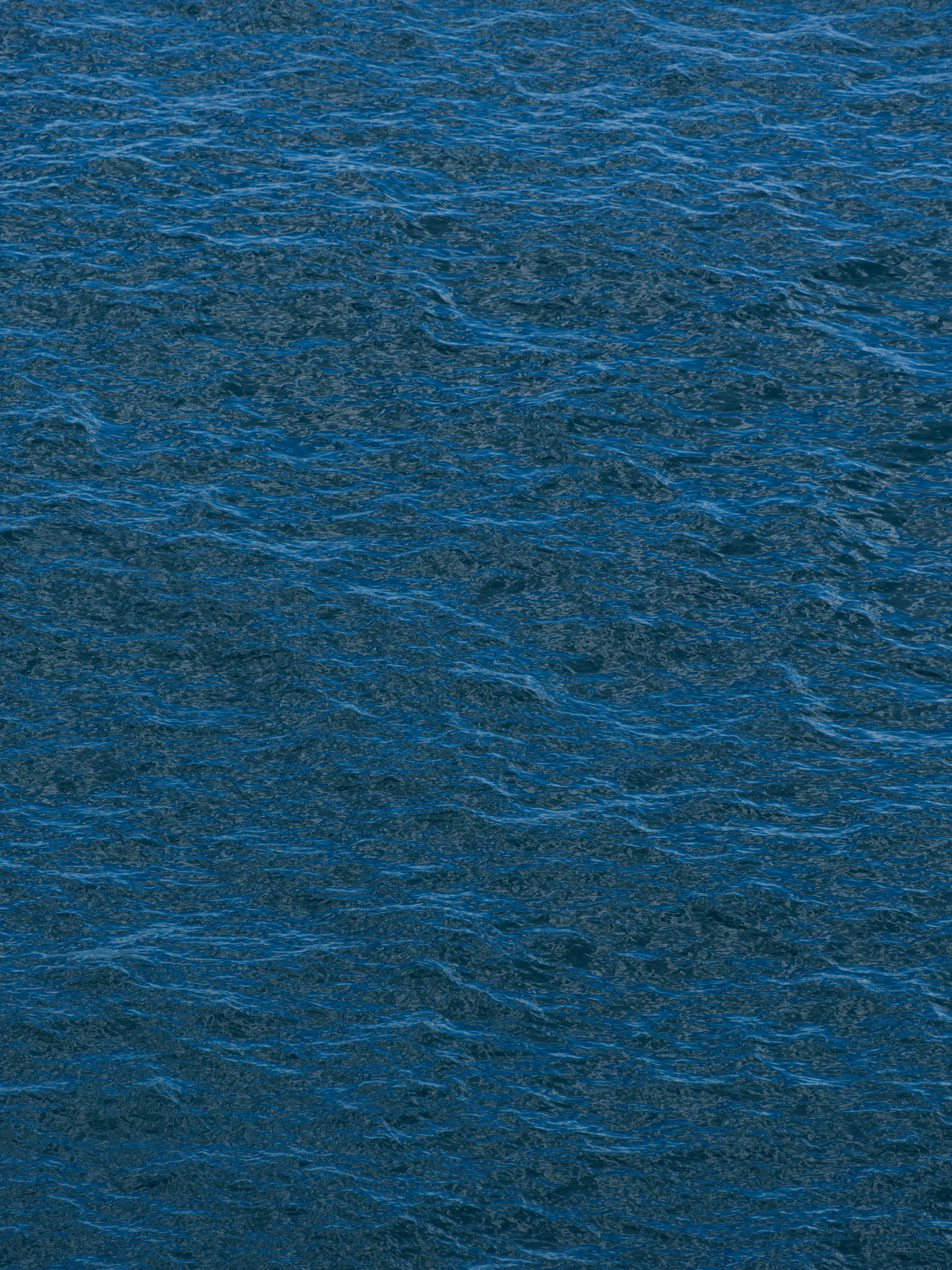 خلفيات موبايل 2026,خلفيات جوال 4K,خلفيات مناظر طبيعية للهاتف,خلفيات مريحة للعين,أجمل خلفيات 2026,خلفيات طبيعة هادئة,خلفيات موبايل فخمة,صور خلفيات عالية الدقة HD,خلفيات ايفون 2026,خلفيات اندرويد حديثة, خلفيات طبيعة مريحة للأعصاب 2026, تحميل خلفيات موبايل 4K مجانية, أفضل صور خلفيات للهاتف تريح العين, خلفيات جوال مناظر طبيعية خلابة, تنزيل خلفيات شاشة موبايل حديثة 2026