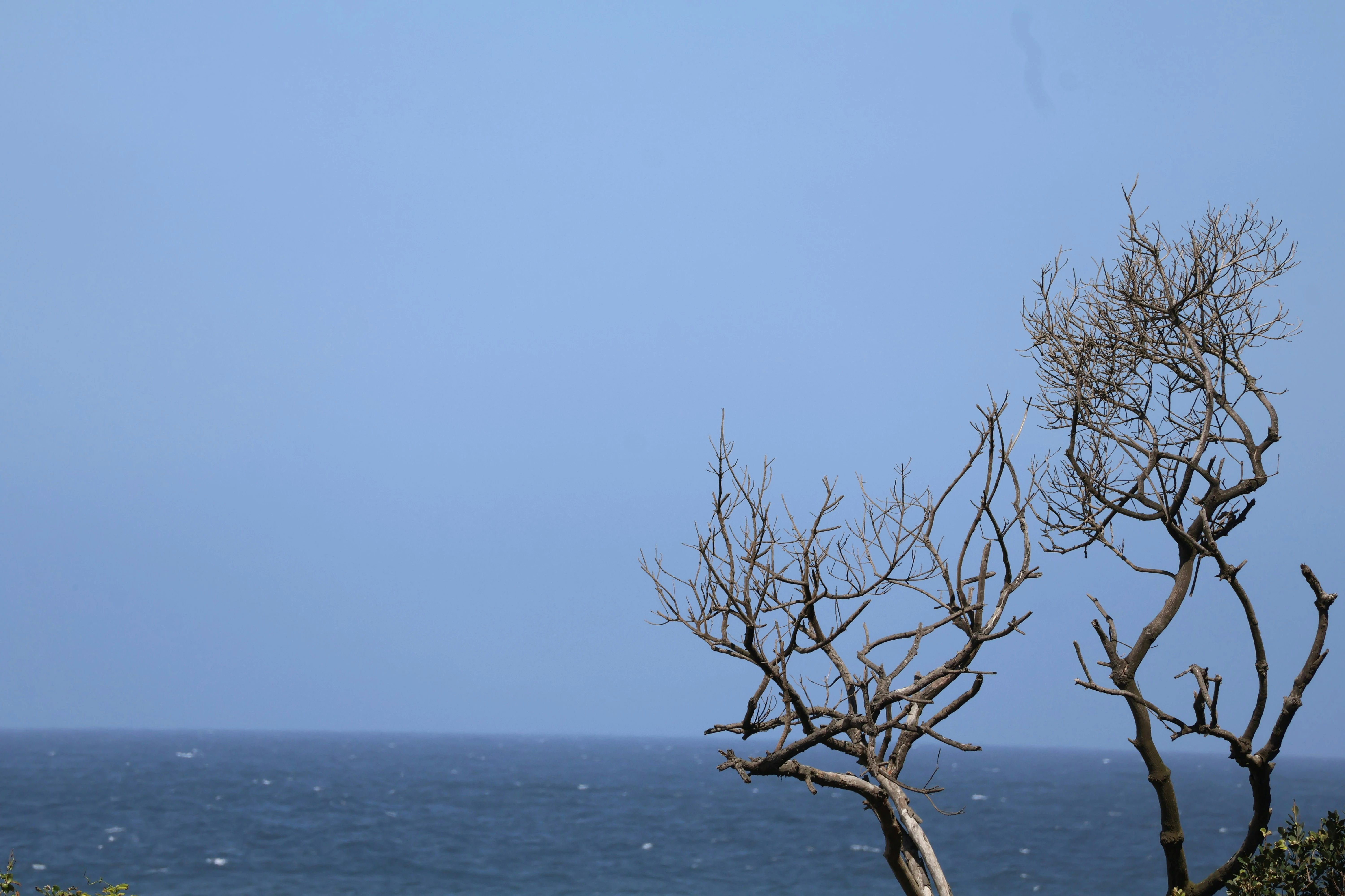 خلفيات موبايل 2026,خلفيات جوال 4K,خلفيات مناظر طبيعية للهاتف,خلفيات مريحة للعين,أجمل خلفيات 2026,خلفيات طبيعة هادئة,خلفيات موبايل فخمة,صور خلفيات عالية الدقة HD,خلفيات ايفون 2026,خلفيات اندرويد حديثة, خلفيات طبيعة مريحة للأعصاب 2026, تحميل خلفيات موبايل 4K مجانية, أفضل صور خلفيات للهاتف تريح العين, خلفيات جوال مناظر طبيعية خلابة, تنزيل خلفيات شاشة موبايل حديثة 2026