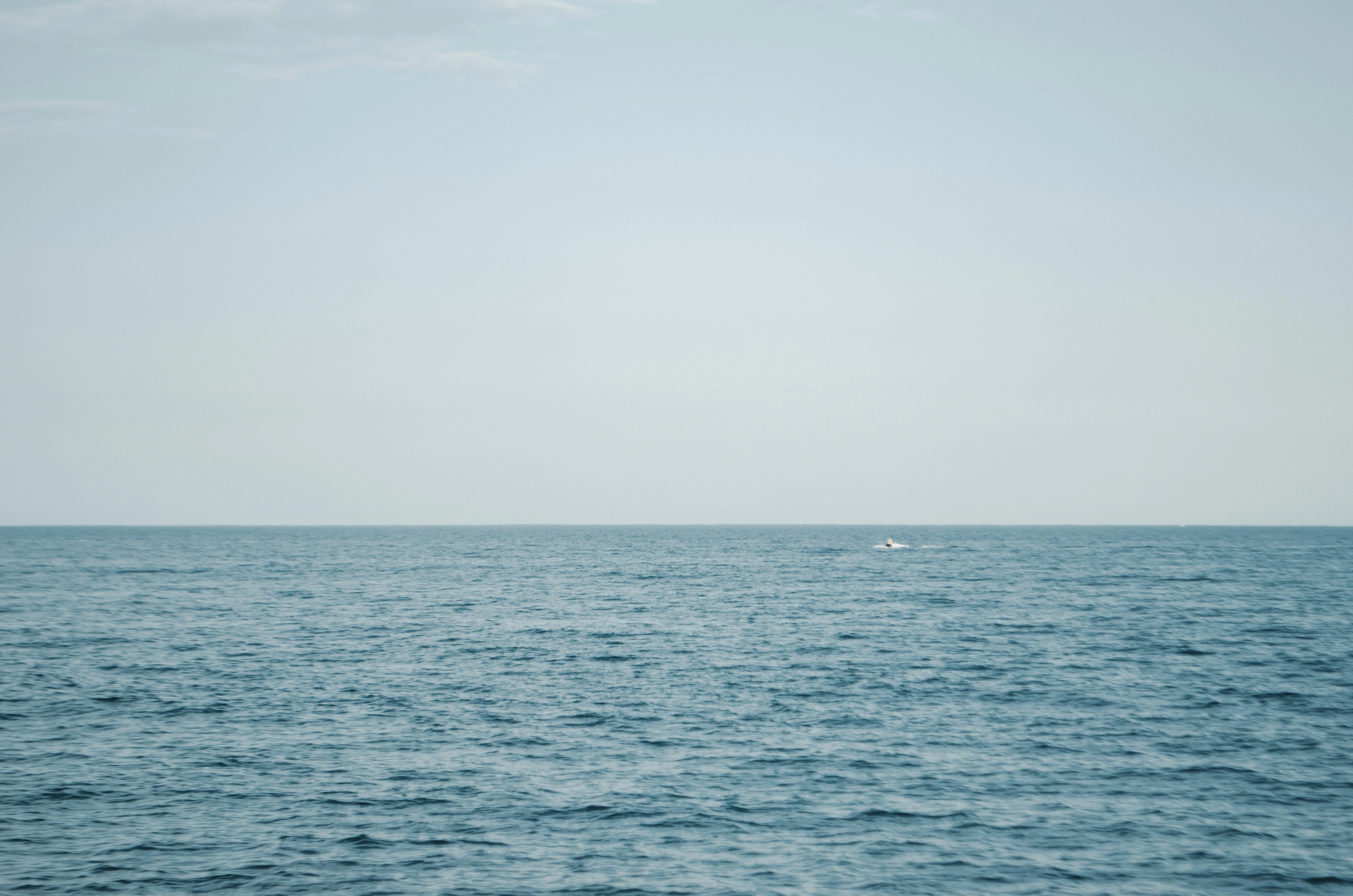 خلفيات موبايل 2026,خلفيات جوال 4K,خلفيات مناظر طبيعية للهاتف,خلفيات مريحة للعين,أجمل خلفيات 2026,خلفيات طبيعة هادئة,خلفيات موبايل فخمة,صور خلفيات عالية الدقة HD,خلفيات ايفون 2026,خلفيات اندرويد حديثة, خلفيات طبيعة مريحة للأعصاب 2026, تحميل خلفيات موبايل 4K مجانية, أفضل صور خلفيات للهاتف تريح العين, خلفيات جوال مناظر طبيعية خلابة, تنزيل خلفيات شاشة موبايل حديثة 2026