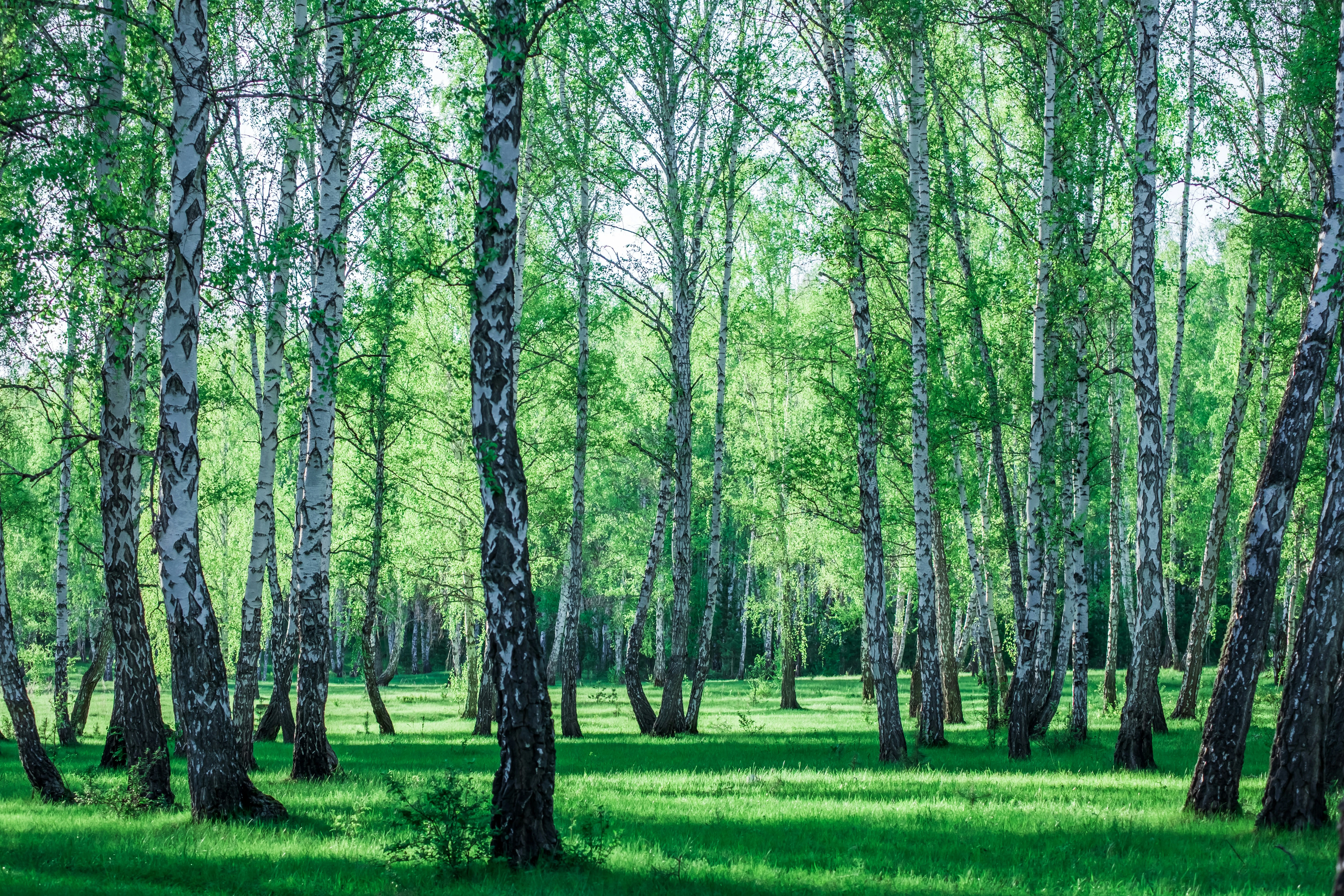 خلفيات موبايل 2026,خلفيات جوال 4K,خلفيات مناظر طبيعية للهاتف,خلفيات مريحة للعين,أجمل خلفيات 2026,خلفيات طبيعة هادئة,خلفيات موبايل فخمة,صور خلفيات عالية الدقة HD,خلفيات ايفون 2026,خلفيات اندرويد حديثة, خلفيات طبيعة مريحة للأعصاب 2026, تحميل خلفيات موبايل 4K مجانية, أفضل صور خلفيات للهاتف تريح العين, خلفيات جوال مناظر طبيعية خلابة, تنزيل خلفيات شاشة موبايل حديثة 2026