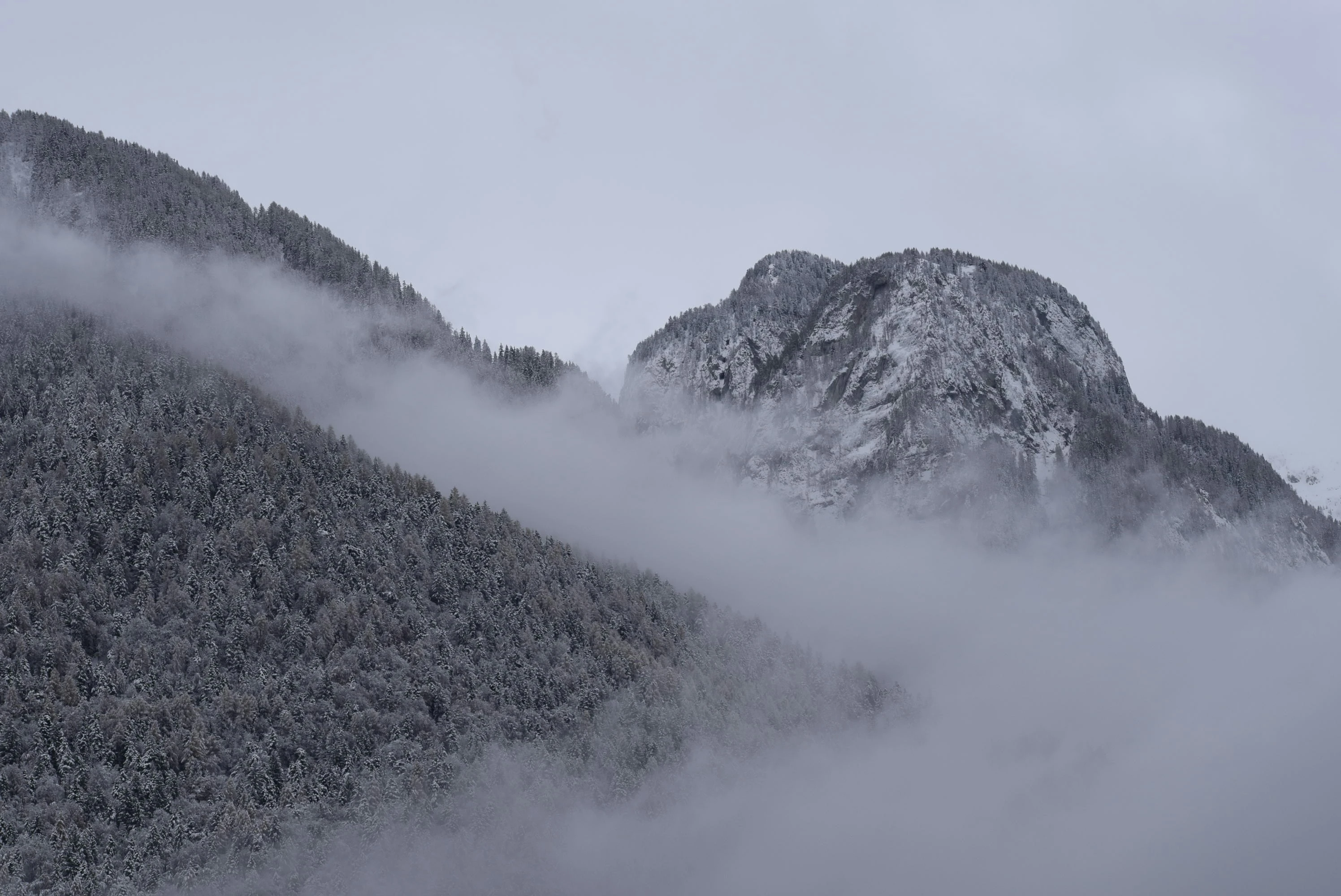 خلفيات موبايل 2026,خلفيات جوال 4K,خلفيات مناظر طبيعية للهاتف,خلفيات مريحة للعين,أجمل خلفيات 2026,خلفيات طبيعة هادئة,خلفيات موبايل فخمة,صور خلفيات عالية الدقة HD,خلفيات ايفون 2026,خلفيات اندرويد حديثة, خلفيات طبيعة مريحة للأعصاب 2026, تحميل خلفيات موبايل 4K مجانية, أفضل صور خلفيات للهاتف تريح العين, خلفيات جوال مناظر طبيعية خلابة, تنزيل خلفيات شاشة موبايل حديثة 2026
