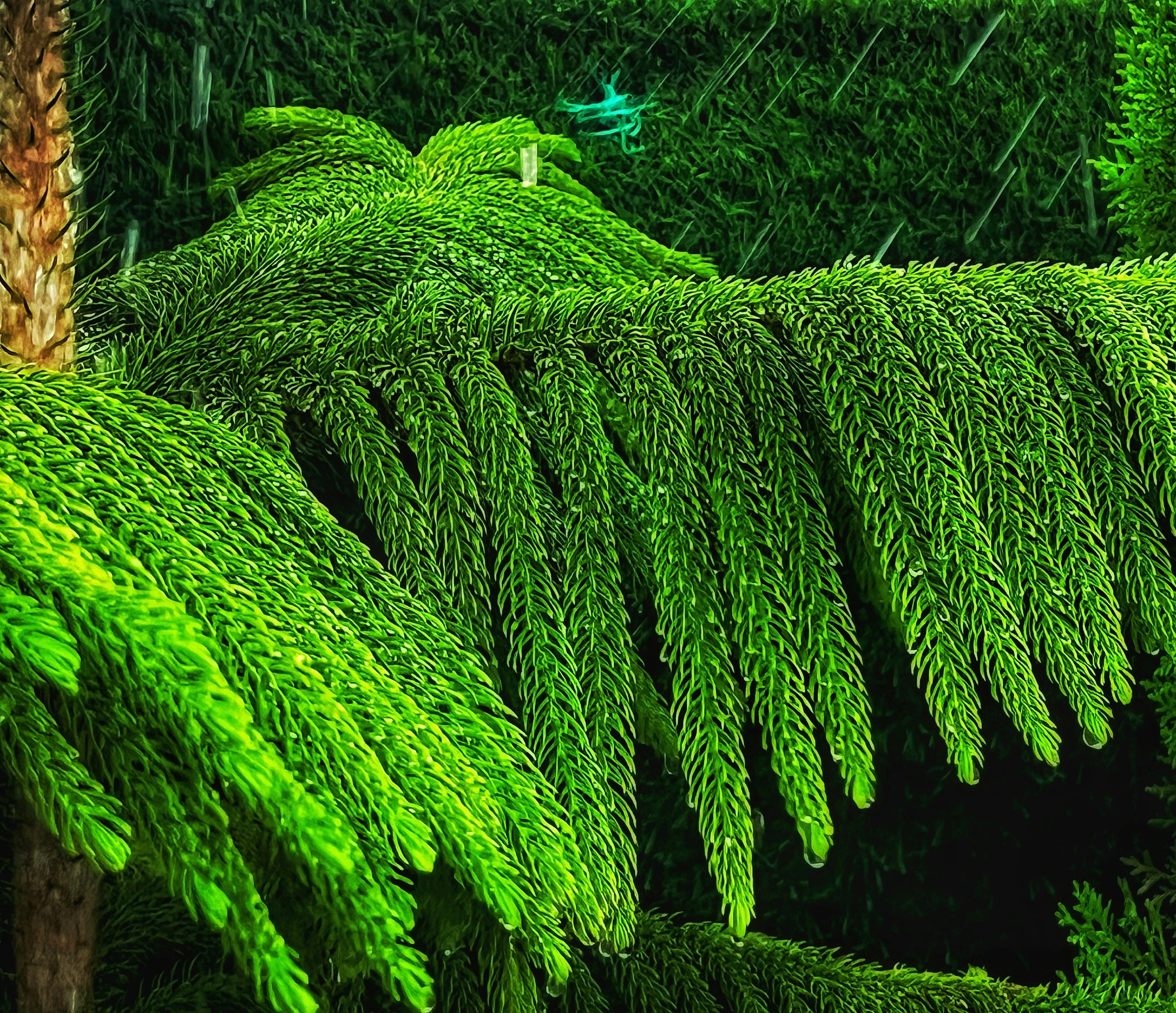 خلفيات موبايل 2026,خلفيات جوال 4K,خلفيات مناظر طبيعية للهاتف,خلفيات مريحة للعين,أجمل خلفيات 2026,خلفيات طبيعة هادئة,خلفيات موبايل فخمة,صور خلفيات عالية الدقة HD,خلفيات ايفون 2026,خلفيات اندرويد حديثة, خلفيات طبيعة مريحة للأعصاب 2026, تحميل خلفيات موبايل 4K مجانية, أفضل صور خلفيات للهاتف تريح العين, خلفيات جوال مناظر طبيعية خلابة, تنزيل خلفيات شاشة موبايل حديثة 2026