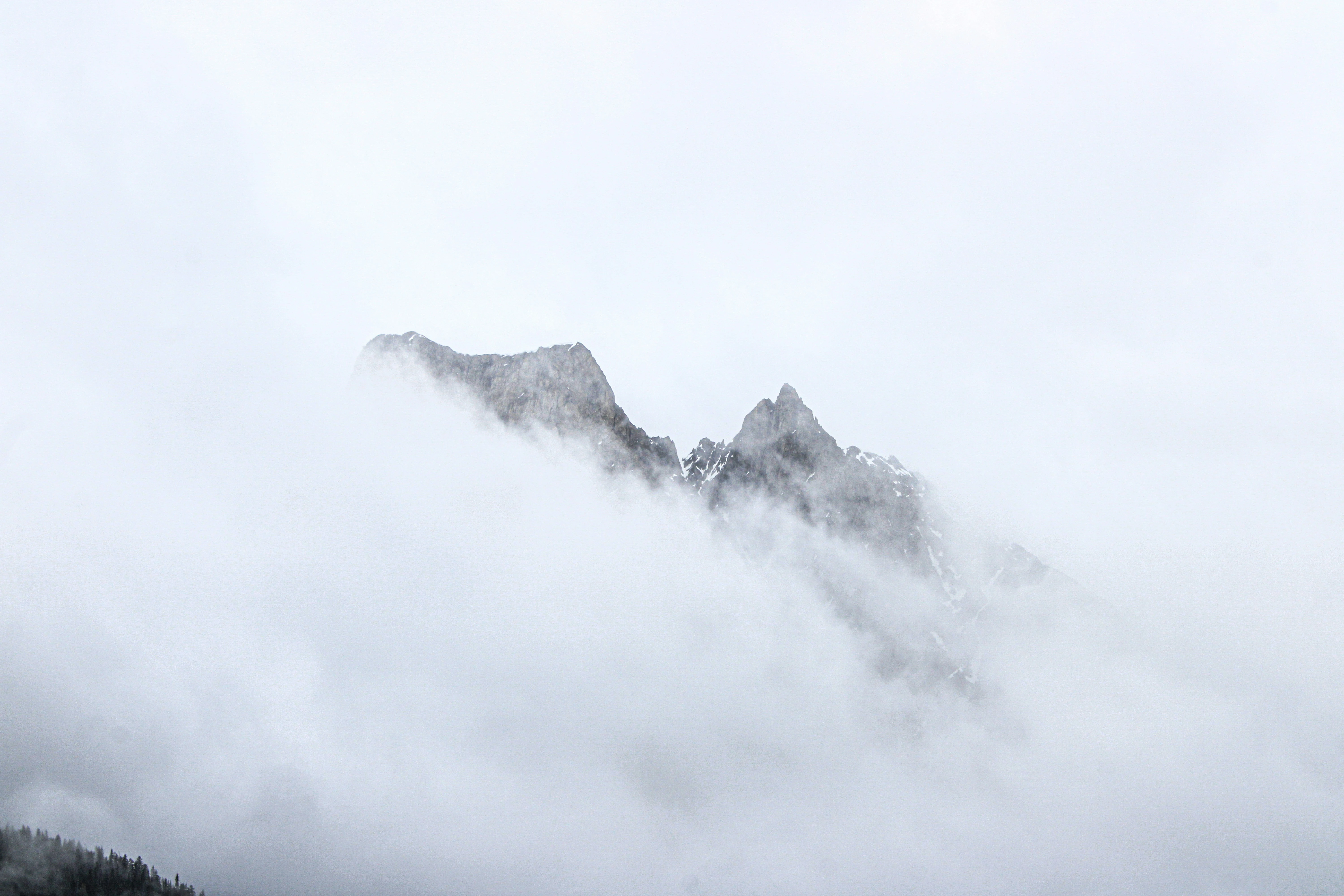 خلفيات موبايل 2026,خلفيات جوال 4K,خلفيات مناظر طبيعية للهاتف,خلفيات مريحة للعين,أجمل خلفيات 2026,خلفيات طبيعة هادئة,خلفيات موبايل فخمة,صور خلفيات عالية الدقة HD,خلفيات ايفون 2026,خلفيات اندرويد حديثة, خلفيات طبيعة مريحة للأعصاب 2026, تحميل خلفيات موبايل 4K مجانية, أفضل صور خلفيات للهاتف تريح العين, خلفيات جوال مناظر طبيعية خلابة, تنزيل خلفيات شاشة موبايل حديثة 2026