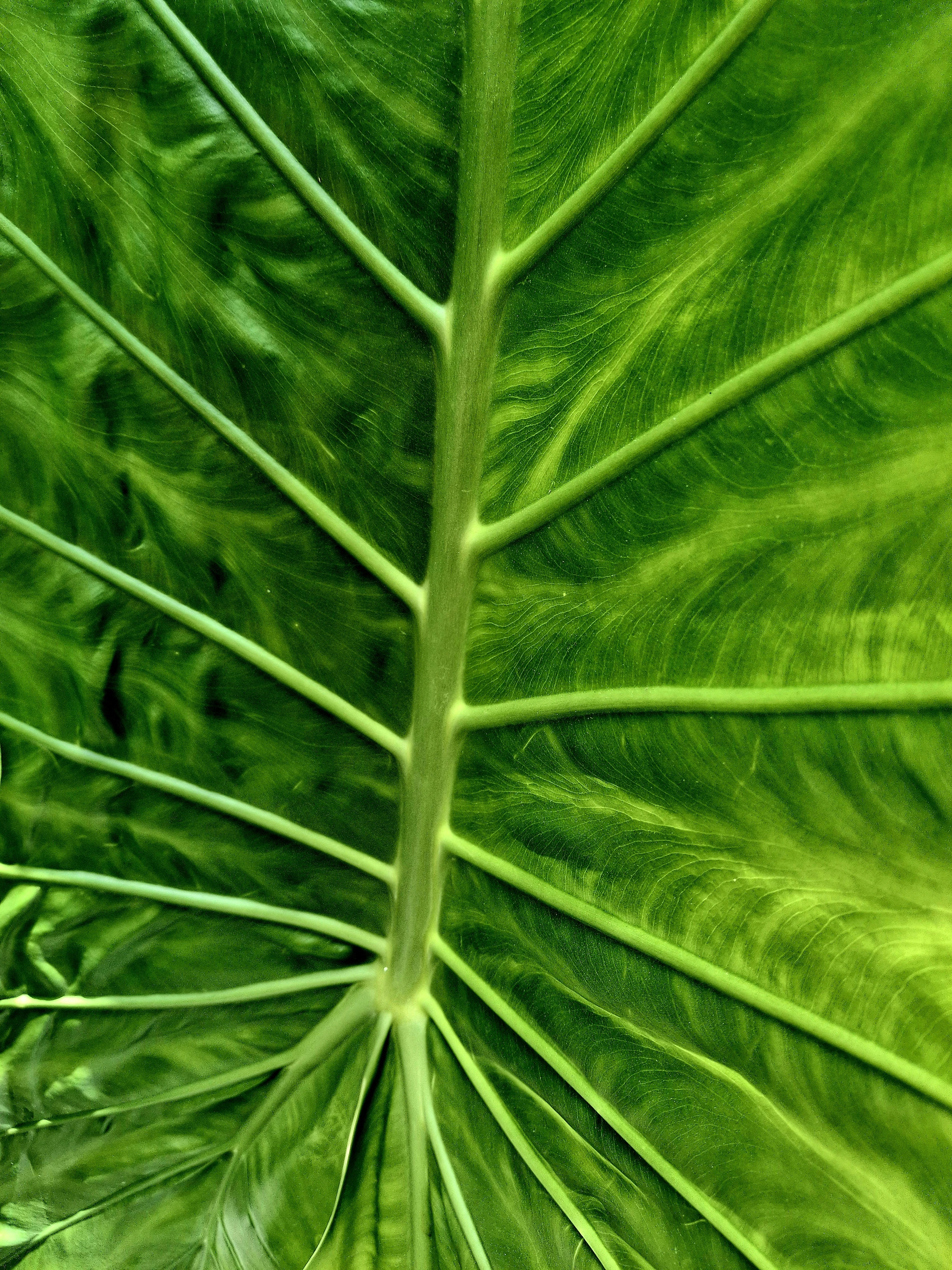 خلفيات موبايل 2026,خلفيات جوال 4K,خلفيات مناظر طبيعية للهاتف,خلفيات مريحة للعين,أجمل خلفيات 2026,خلفيات طبيعة هادئة,خلفيات موبايل فخمة,صور خلفيات عالية الدقة HD,خلفيات ايفون 2026,خلفيات اندرويد حديثة, خلفيات طبيعة مريحة للأعصاب 2026, تحميل خلفيات موبايل 4K مجانية, أفضل صور خلفيات للهاتف تريح العين, خلفيات جوال مناظر طبيعية خلابة, تنزيل خلفيات شاشة موبايل حديثة 2026