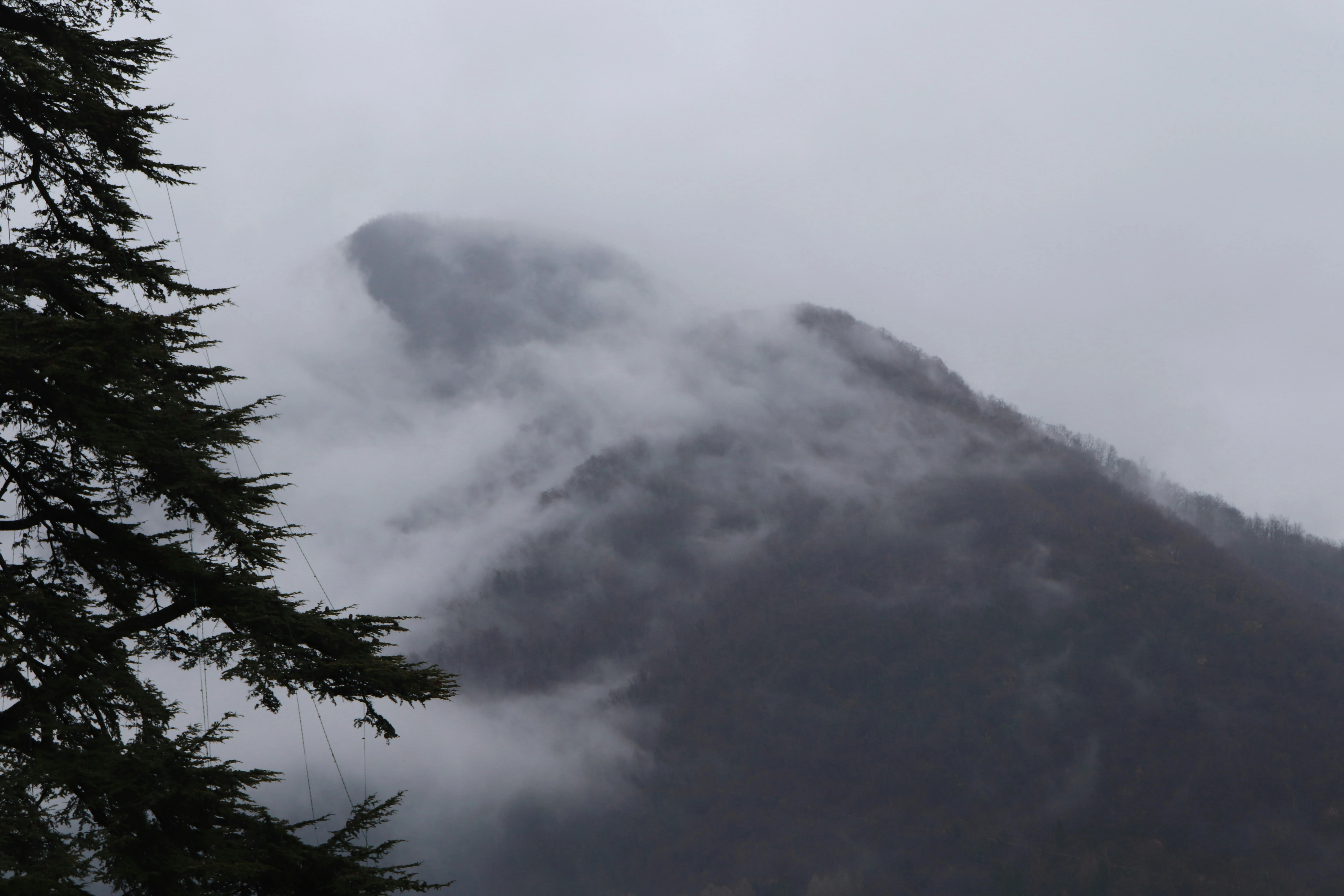 خلفيات موبايل 2026,خلفيات جوال 4K,خلفيات مناظر طبيعية للهاتف,خلفيات مريحة للعين,أجمل خلفيات 2026,خلفيات طبيعة هادئة,خلفيات موبايل فخمة,صور خلفيات عالية الدقة HD,خلفيات ايفون 2026,خلفيات اندرويد حديثة, خلفيات طبيعة مريحة للأعصاب 2026, تحميل خلفيات موبايل 4K مجانية, أفضل صور خلفيات للهاتف تريح العين, خلفيات جوال مناظر طبيعية خلابة, تنزيل خلفيات شاشة موبايل حديثة 2026