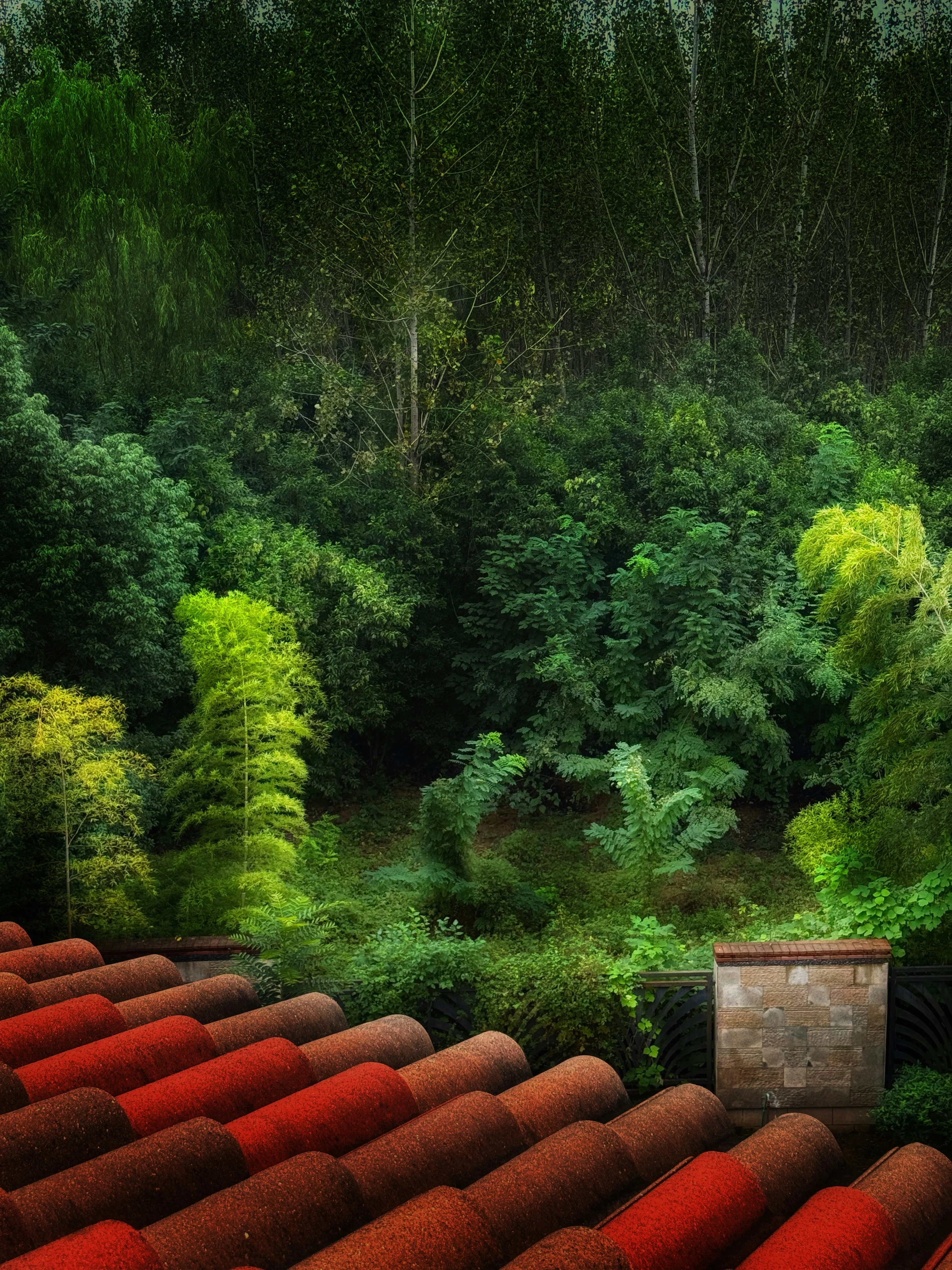 خلفيات موبايل 2026,خلفيات جوال 4K,خلفيات مناظر طبيعية للهاتف,خلفيات مريحة للعين,أجمل خلفيات 2026,خلفيات طبيعة هادئة,خلفيات موبايل فخمة,صور خلفيات عالية الدقة HD,خلفيات ايفون 2026,خلفيات اندرويد حديثة, خلفيات طبيعة مريحة للأعصاب 2026, تحميل خلفيات موبايل 4K مجانية, أفضل صور خلفيات للهاتف تريح العين, خلفيات جوال مناظر طبيعية خلابة, تنزيل خلفيات شاشة موبايل حديثة 2026