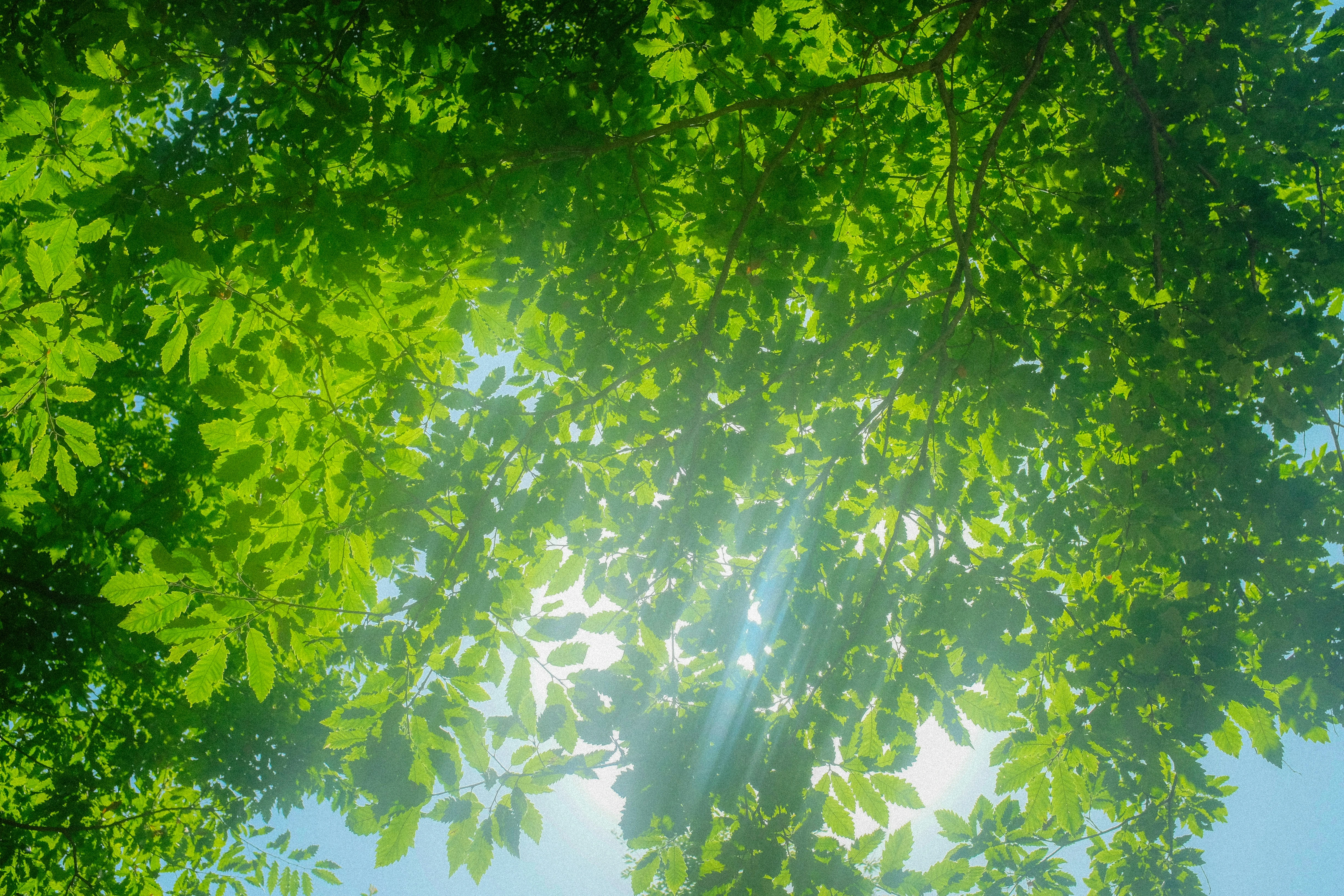 خلفيات موبايل 2026,خلفيات جوال 4K,خلفيات مناظر طبيعية للهاتف,خلفيات مريحة للعين,أجمل خلفيات 2026,خلفيات طبيعة هادئة,خلفيات موبايل فخمة,صور خلفيات عالية الدقة HD,خلفيات ايفون 2026,خلفيات اندرويد حديثة, خلفيات طبيعة مريحة للأعصاب 2026, تحميل خلفيات موبايل 4K مجانية, أفضل صور خلفيات للهاتف تريح العين, خلفيات جوال مناظر طبيعية خلابة, تنزيل خلفيات شاشة موبايل حديثة 2026