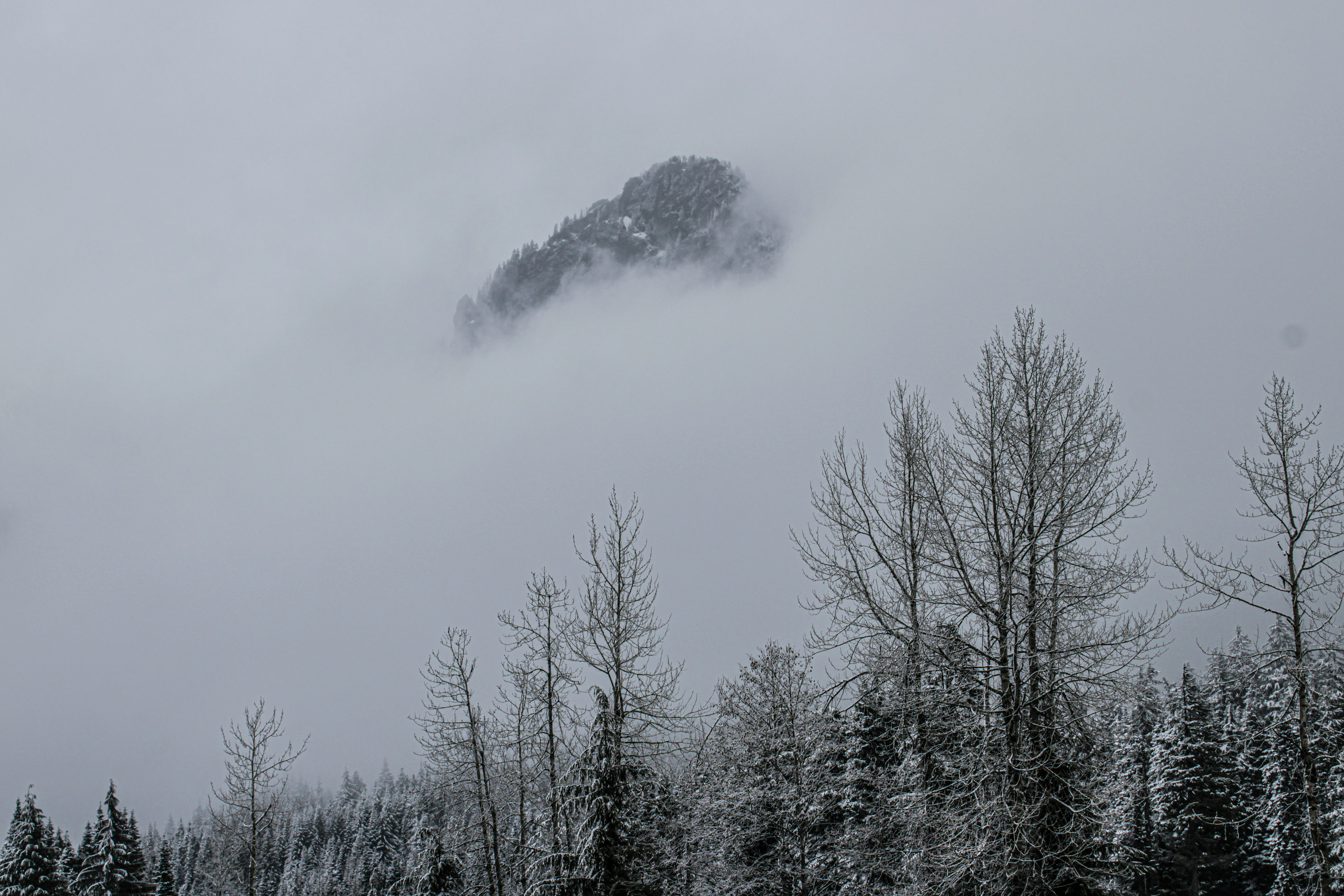 خلفيات موبايل 2026,خلفيات جوال 4K,خلفيات مناظر طبيعية للهاتف,خلفيات مريحة للعين,أجمل خلفيات 2026,خلفيات طبيعة هادئة,خلفيات موبايل فخمة,صور خلفيات عالية الدقة HD,خلفيات ايفون 2026,خلفيات اندرويد حديثة, خلفيات طبيعة مريحة للأعصاب 2026, تحميل خلفيات موبايل 4K مجانية, أفضل صور خلفيات للهاتف تريح العين, خلفيات جوال مناظر طبيعية خلابة, تنزيل خلفيات شاشة موبايل حديثة 2026