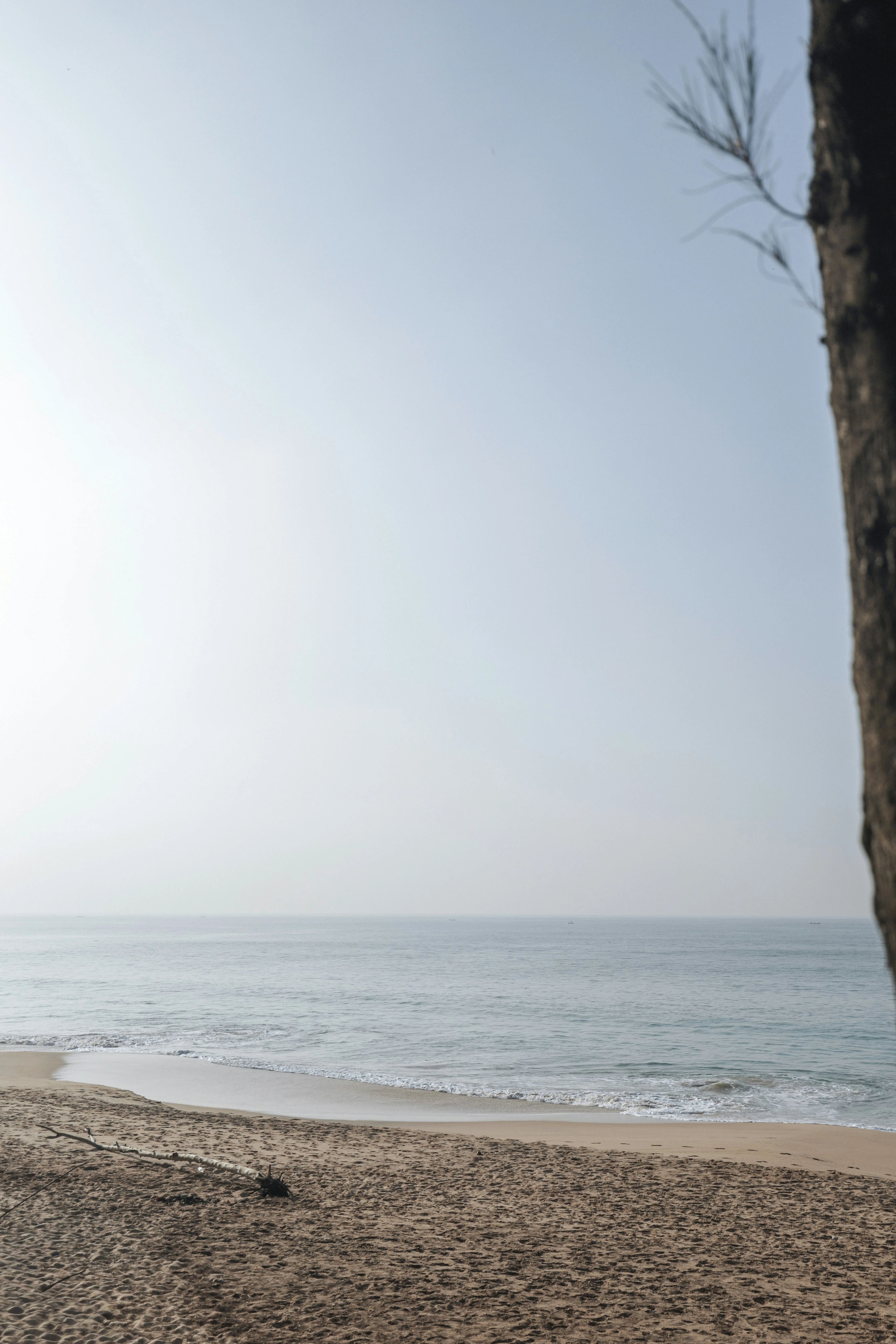 خلفيات موبايل 2026,خلفيات جوال 4K,خلفيات مناظر طبيعية للهاتف,خلفيات مريحة للعين,أجمل خلفيات 2026,خلفيات طبيعة هادئة,خلفيات موبايل فخمة,صور خلفيات عالية الدقة HD,خلفيات ايفون 2026,خلفيات اندرويد حديثة, خلفيات طبيعة مريحة للأعصاب 2026, تحميل خلفيات موبايل 4K مجانية, أفضل صور خلفيات للهاتف تريح العين, خلفيات جوال مناظر طبيعية خلابة, تنزيل خلفيات شاشة موبايل حديثة 2026