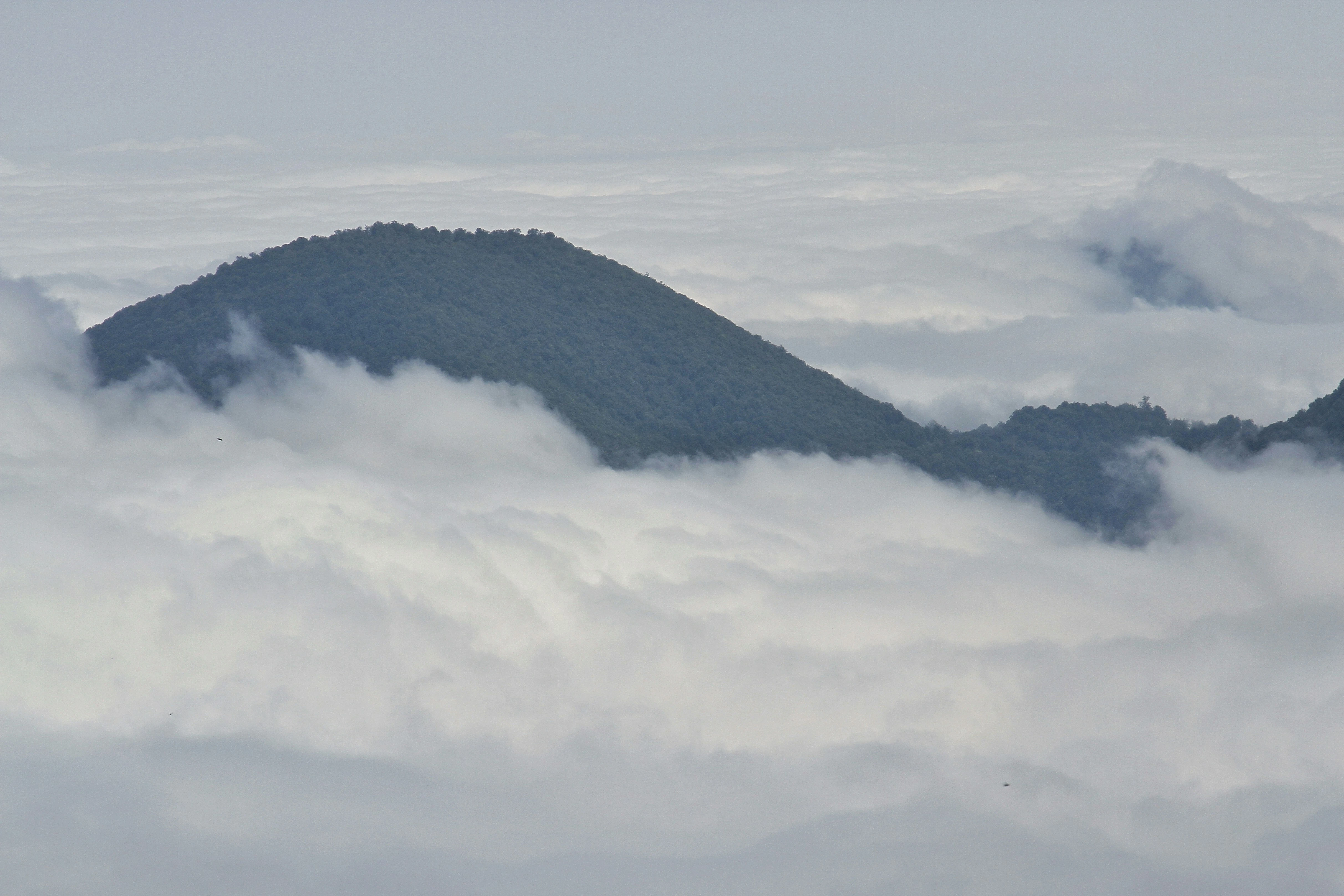 خلفيات موبايل 2026,خلفيات جوال 4K,خلفيات مناظر طبيعية للهاتف,خلفيات مريحة للعين,أجمل خلفيات 2026,خلفيات طبيعة هادئة,خلفيات موبايل فخمة,صور خلفيات عالية الدقة HD,خلفيات ايفون 2026,خلفيات اندرويد حديثة, خلفيات طبيعة مريحة للأعصاب 2026, تحميل خلفيات موبايل 4K مجانية, أفضل صور خلفيات للهاتف تريح العين, خلفيات جوال مناظر طبيعية خلابة, تنزيل خلفيات شاشة موبايل حديثة 2026
