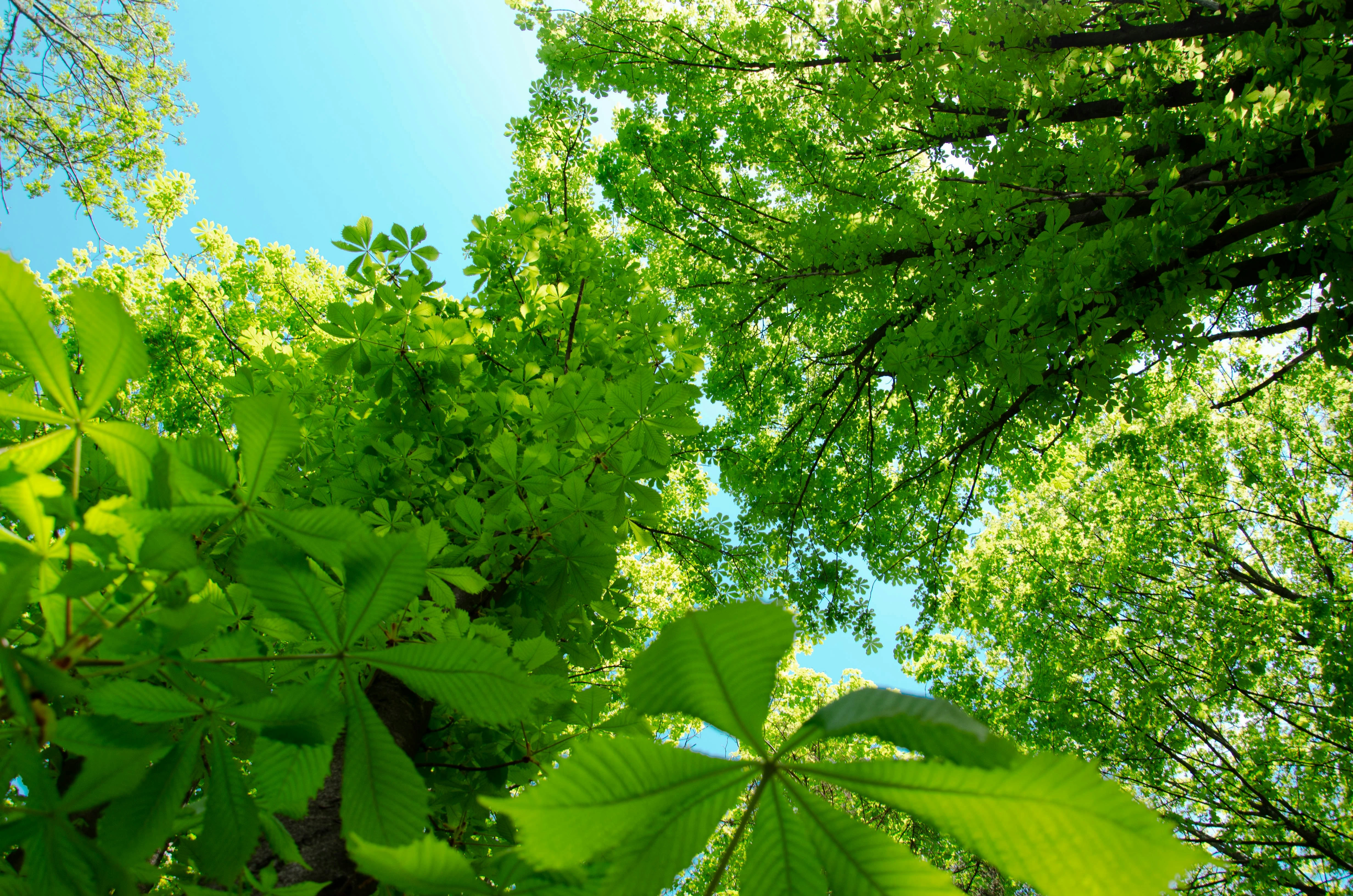 خلفيات موبايل 2026,خلفيات جوال 4K,خلفيات مناظر طبيعية للهاتف,خلفيات مريحة للعين,أجمل خلفيات 2026,خلفيات طبيعة هادئة,خلفيات موبايل فخمة,صور خلفيات عالية الدقة HD,خلفيات ايفون 2026,خلفيات اندرويد حديثة, خلفيات طبيعة مريحة للأعصاب 2026, تحميل خلفيات موبايل 4K مجانية, أفضل صور خلفيات للهاتف تريح العين, خلفيات جوال مناظر طبيعية خلابة, تنزيل خلفيات شاشة موبايل حديثة 2026