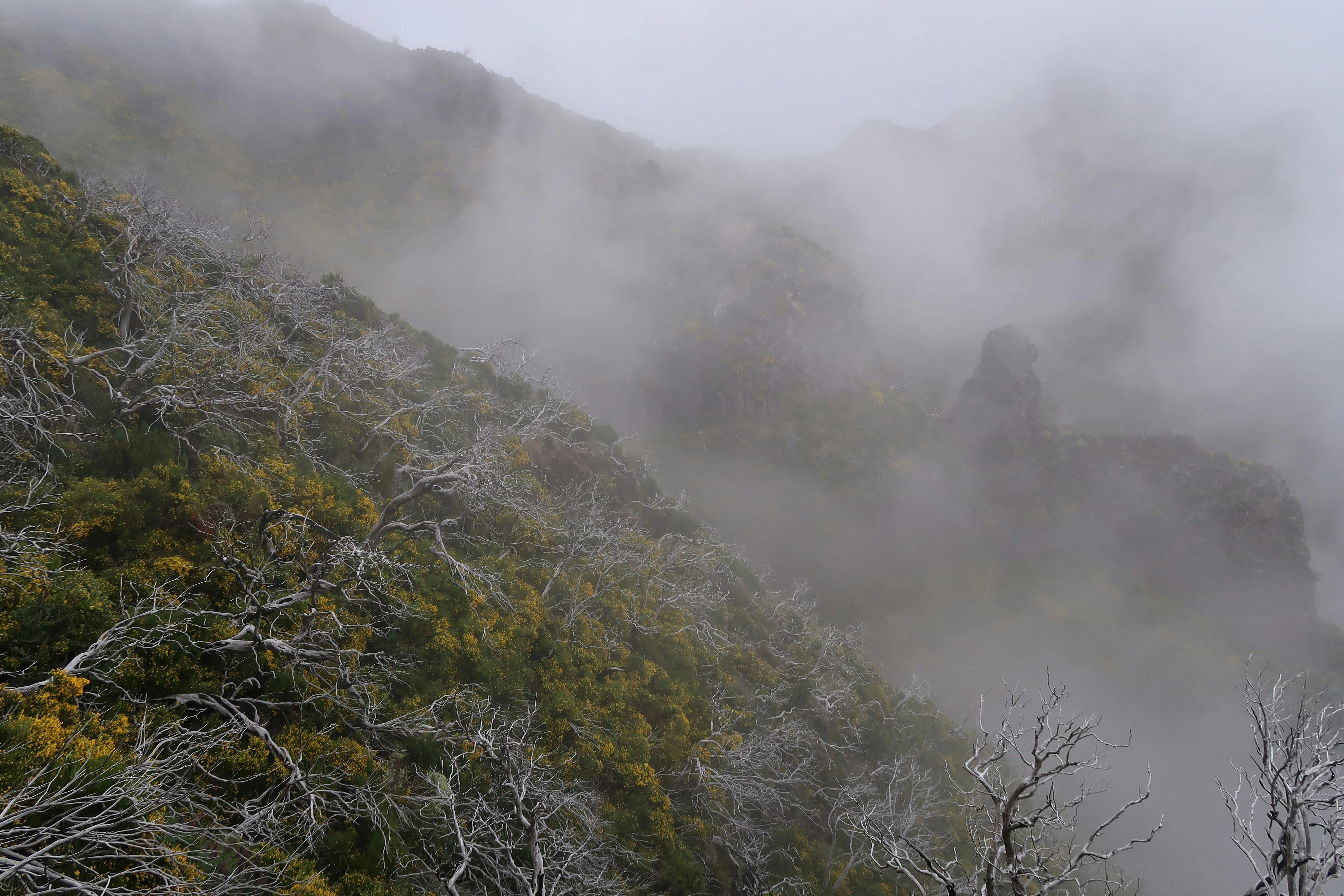 خلفيات موبايل 2026,خلفيات جوال 4K,خلفيات مناظر طبيعية للهاتف,خلفيات مريحة للعين,أجمل خلفيات 2026,خلفيات طبيعة هادئة,خلفيات موبايل فخمة,صور خلفيات عالية الدقة HD,خلفيات ايفون 2026,خلفيات اندرويد حديثة, خلفيات طبيعة مريحة للأعصاب 2026, تحميل خلفيات موبايل 4K مجانية, أفضل صور خلفيات للهاتف تريح العين, خلفيات جوال مناظر طبيعية خلابة, تنزيل خلفيات شاشة موبايل حديثة 2026