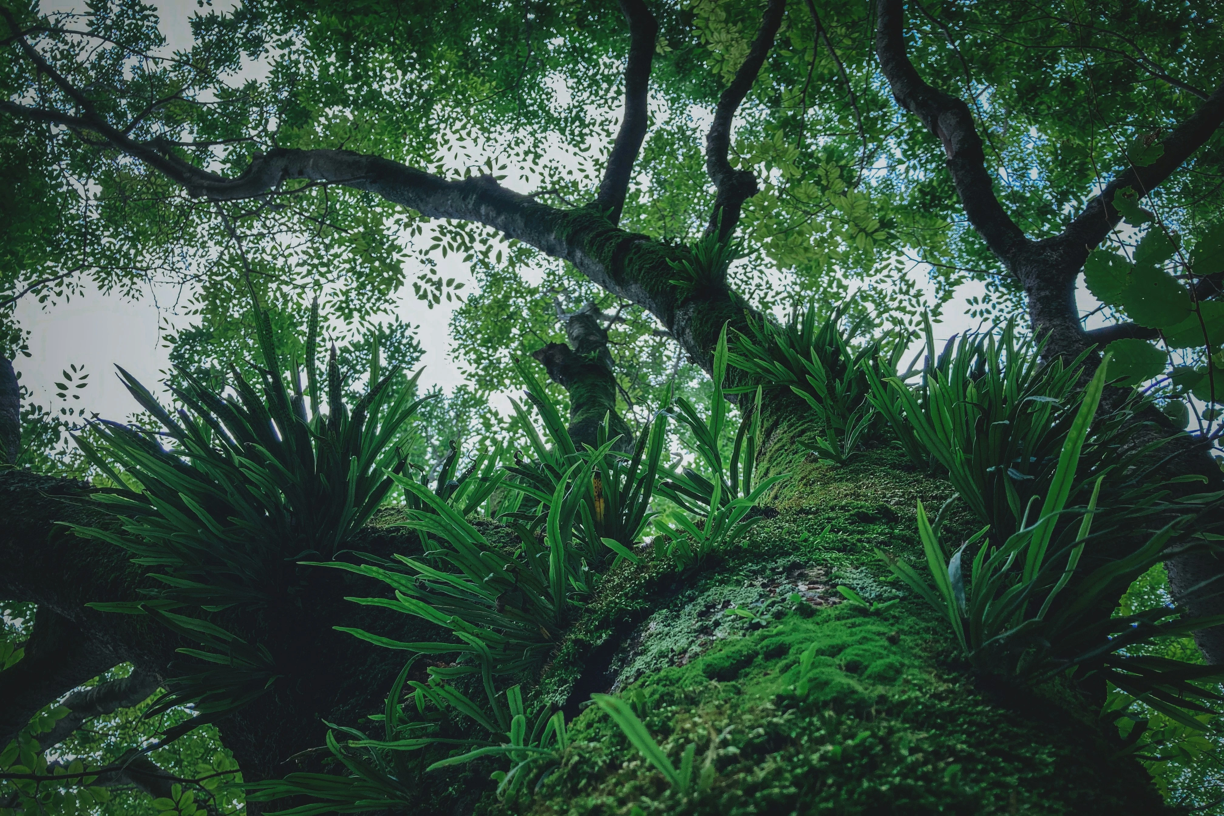 خلفيات موبايل 2026,خلفيات جوال 4K,خلفيات مناظر طبيعية للهاتف,خلفيات مريحة للعين,أجمل خلفيات 2026,خلفيات طبيعة هادئة,خلفيات موبايل فخمة,صور خلفيات عالية الدقة HD,خلفيات ايفون 2026,خلفيات اندرويد حديثة, خلفيات طبيعة مريحة للأعصاب 2026, تحميل خلفيات موبايل 4K مجانية, أفضل صور خلفيات للهاتف تريح العين, خلفيات جوال مناظر طبيعية خلابة, تنزيل خلفيات شاشة موبايل حديثة 2026